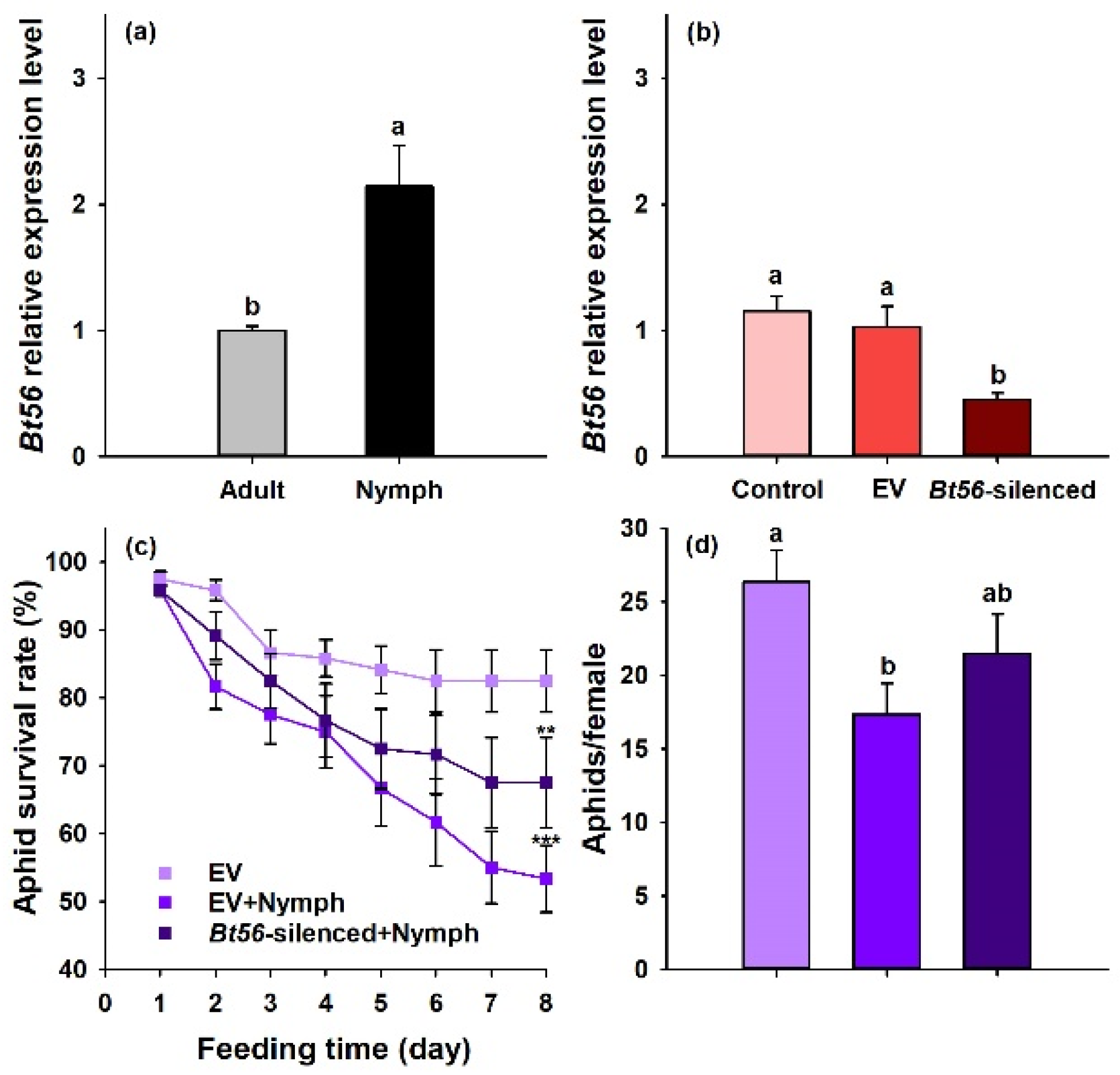 Agronomy 12 01025 g004