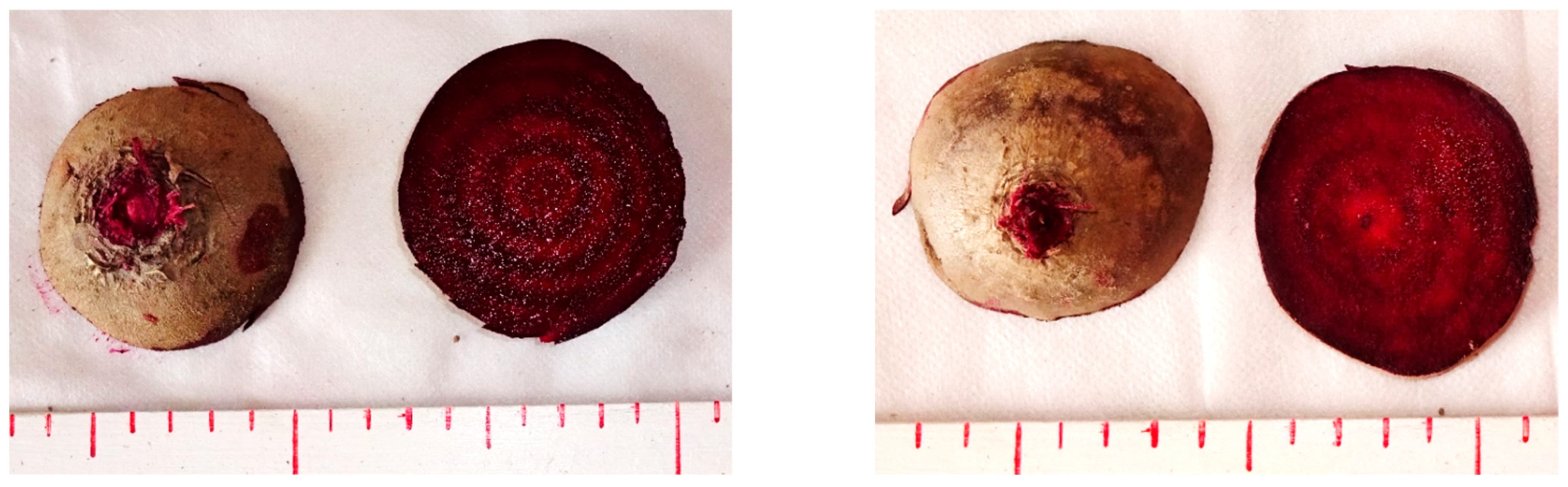 Agronomy 12 01033 g007