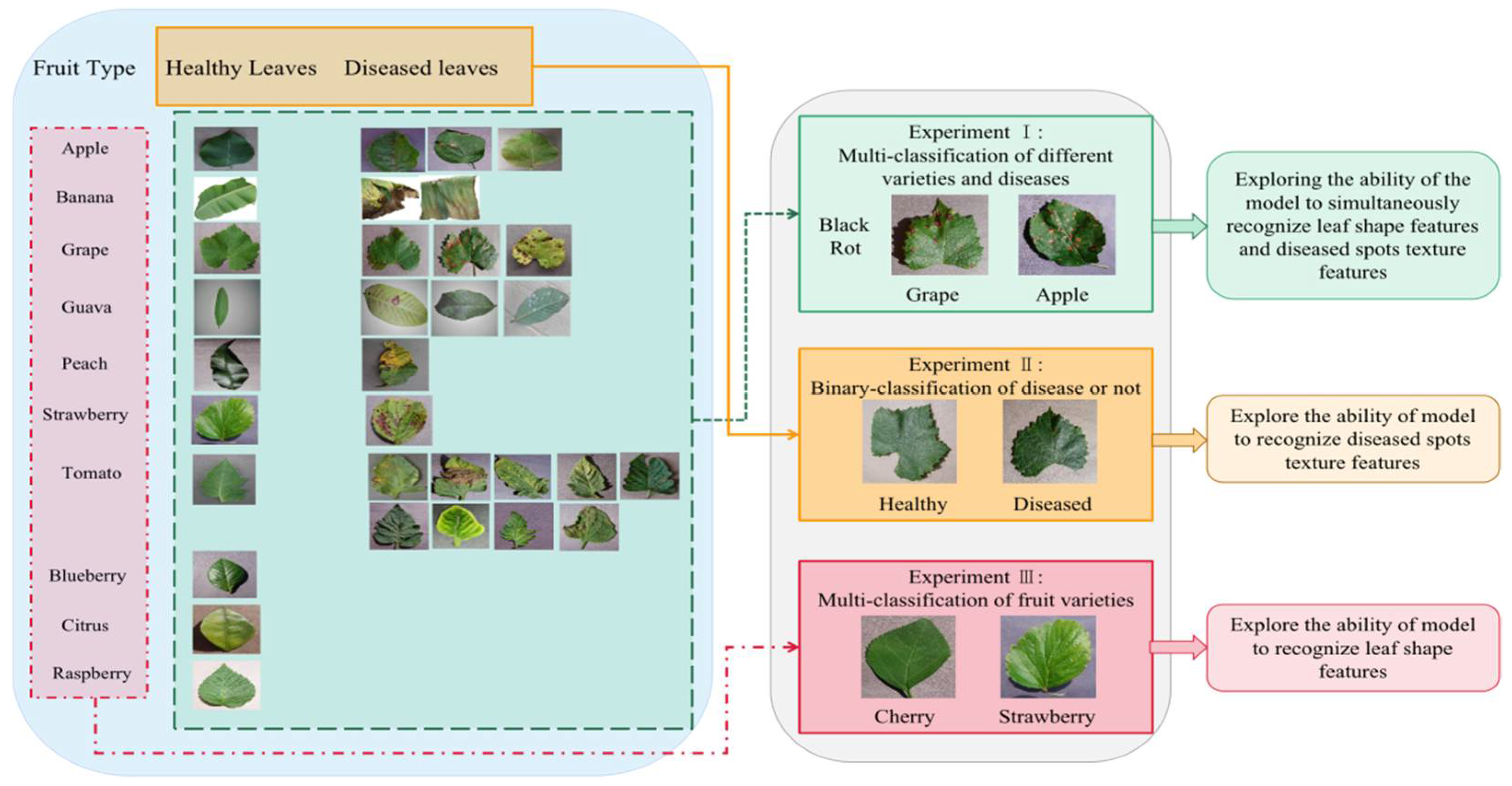 Agronomy 12 01035 g001 550