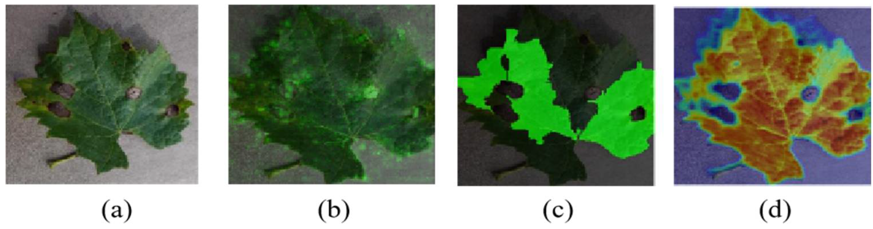 Agronomy 12 01035 g002 550