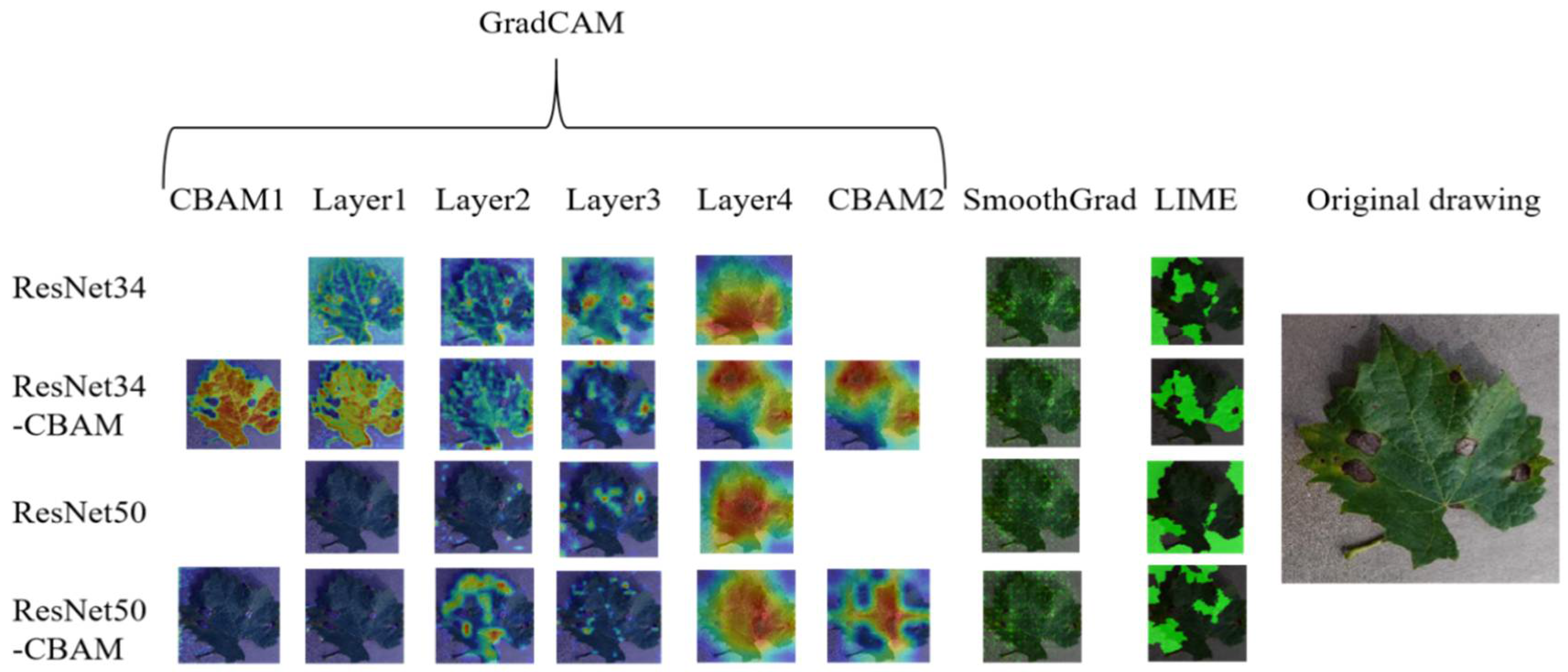 Agronomy 12 01035 g004 550