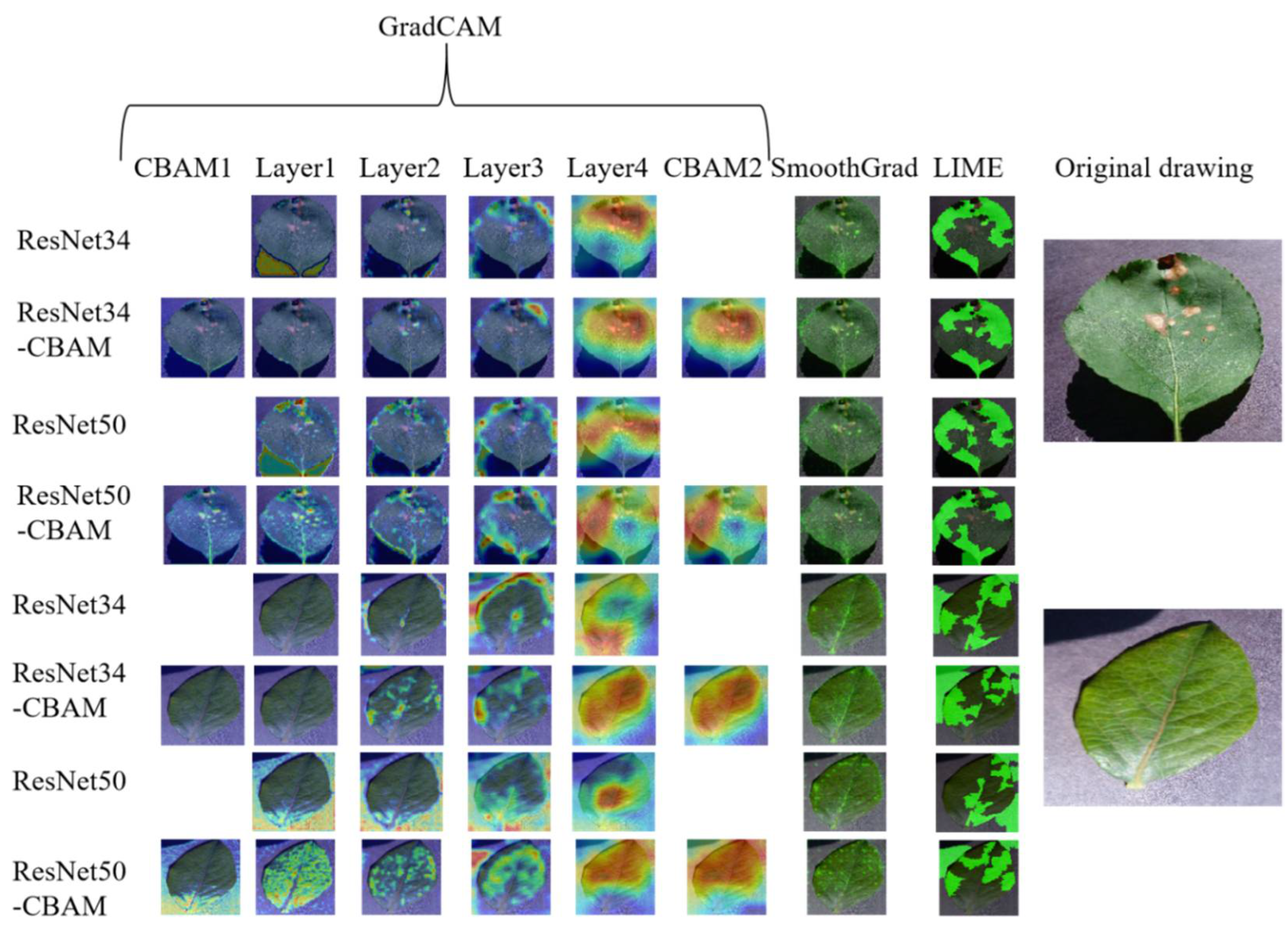 Agronomy 12 01035 g006 550