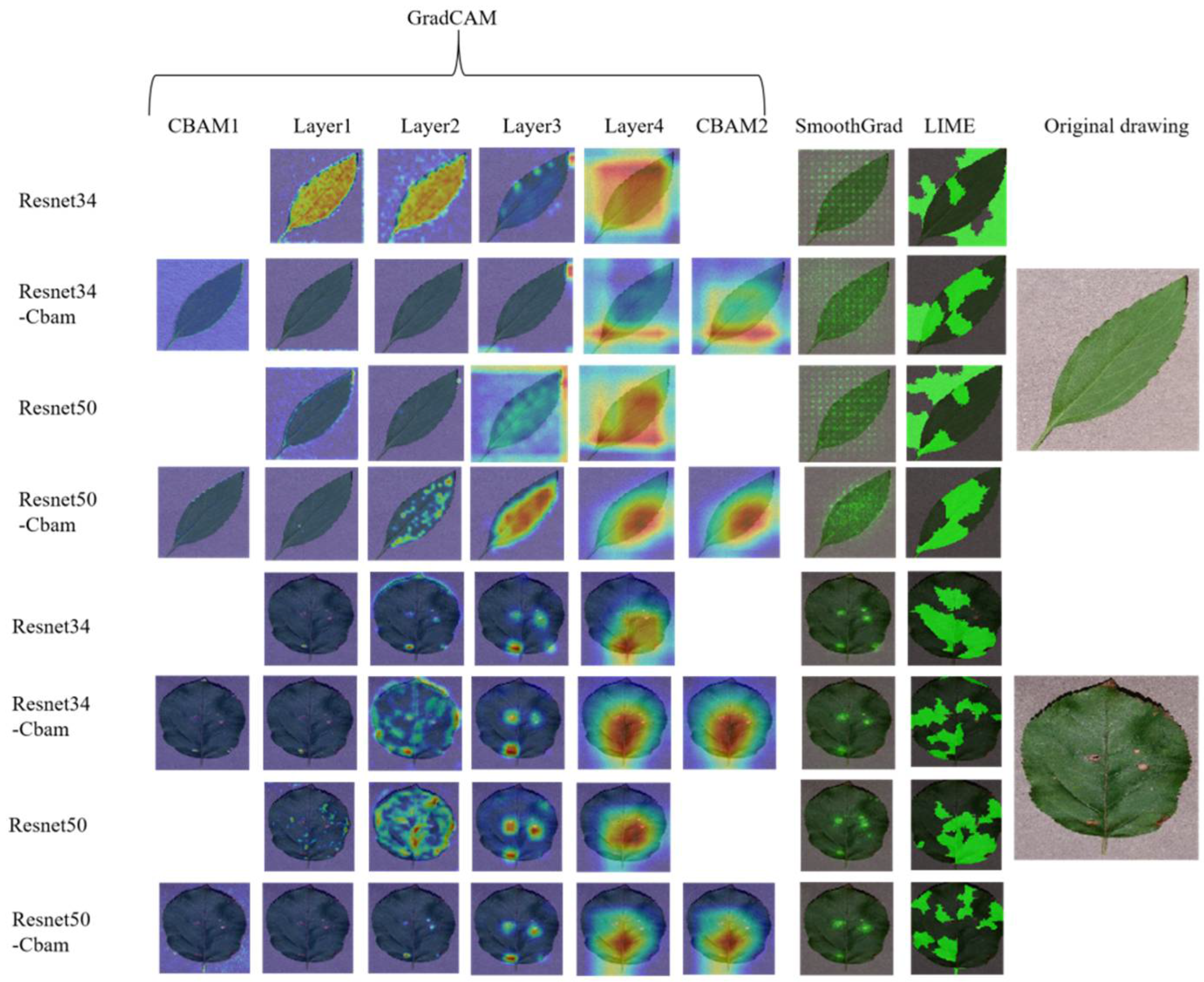 Agronomy 12 01035 g007 550