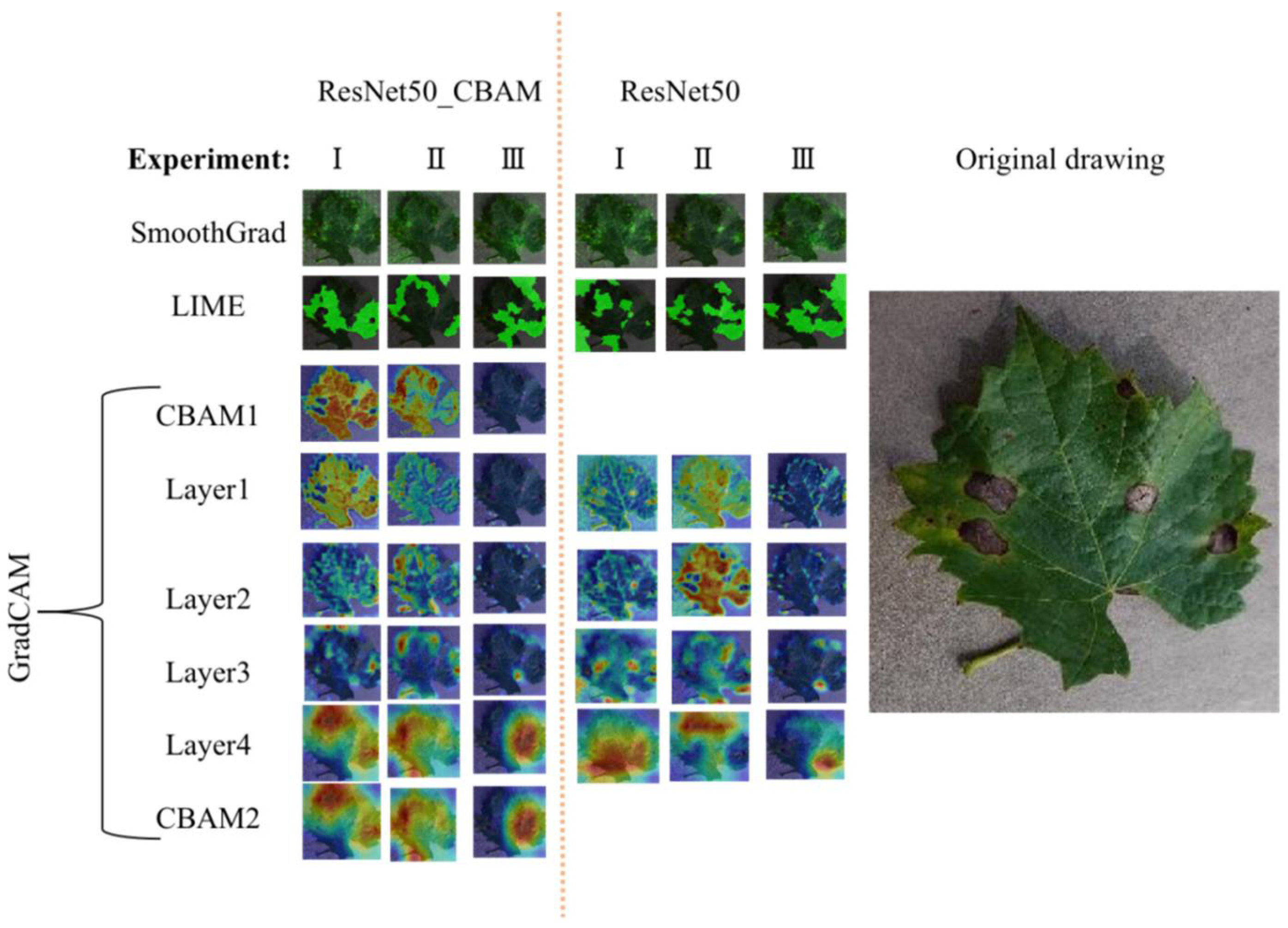 Agronomy 12 01035 g008 550