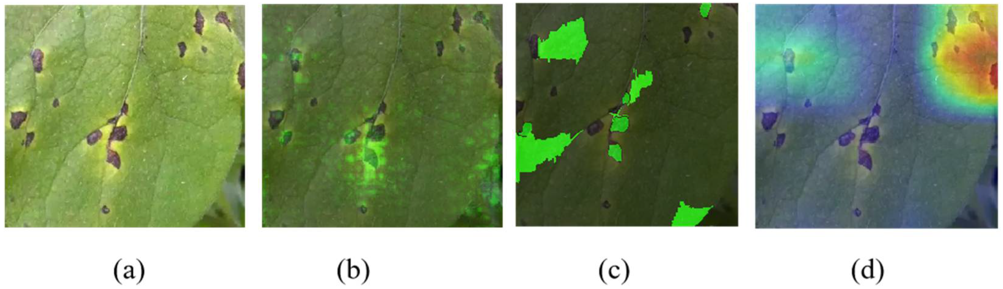 Agronomy 12 01035 g009 550