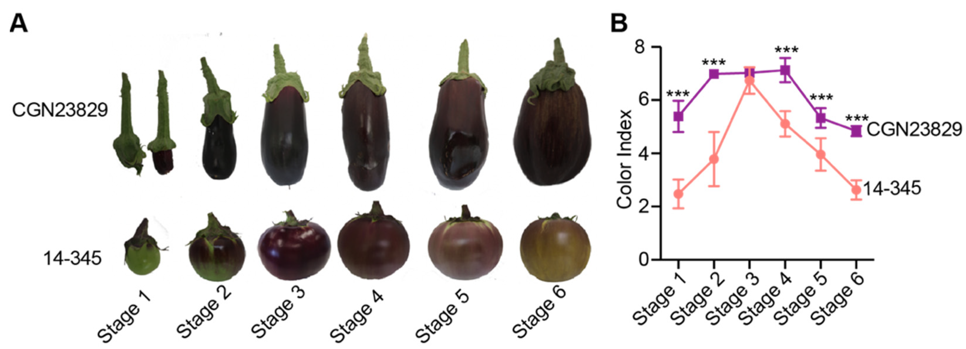 Agronomy 12 01036 g001