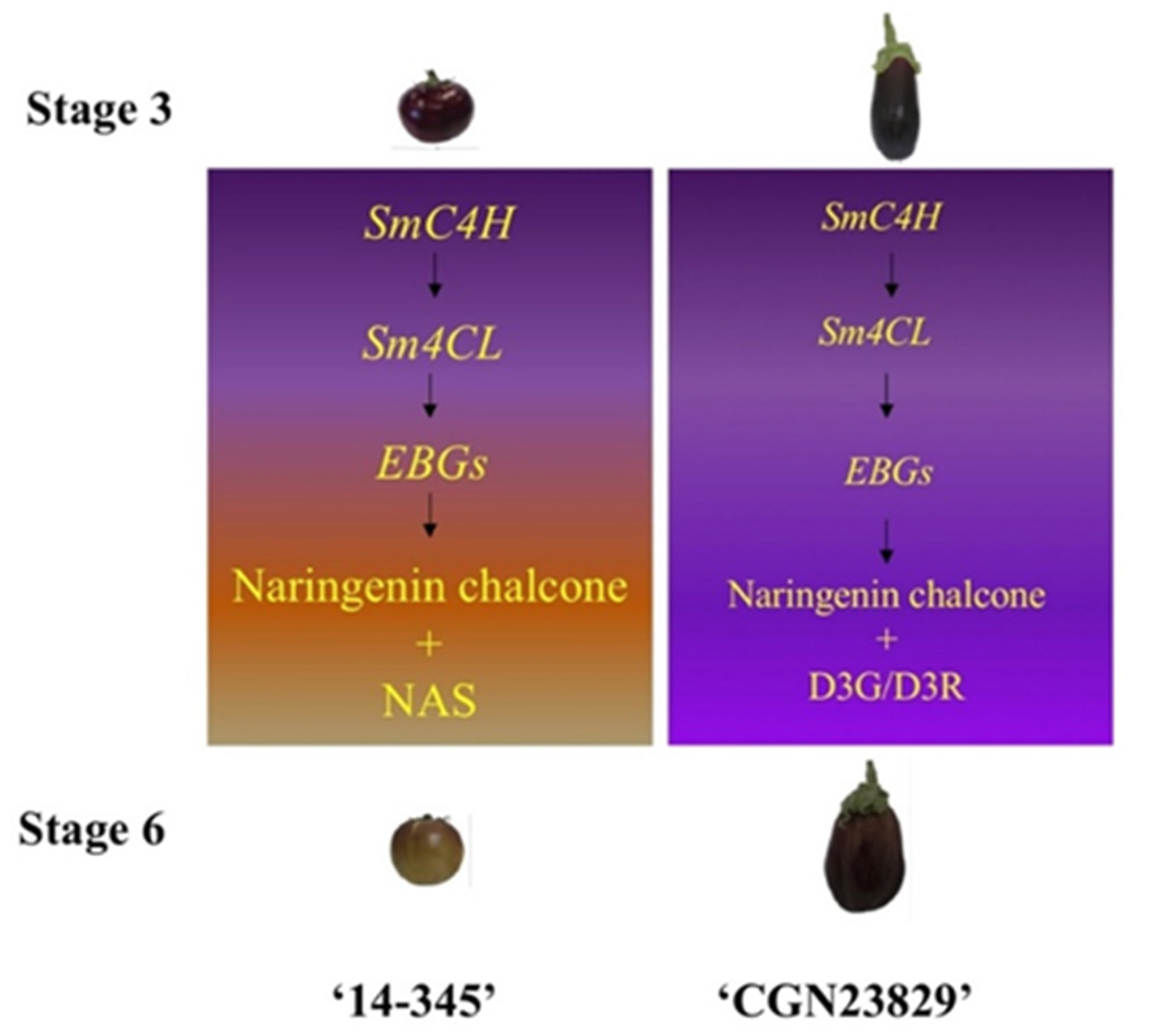 Agronomy 12 01036 g005