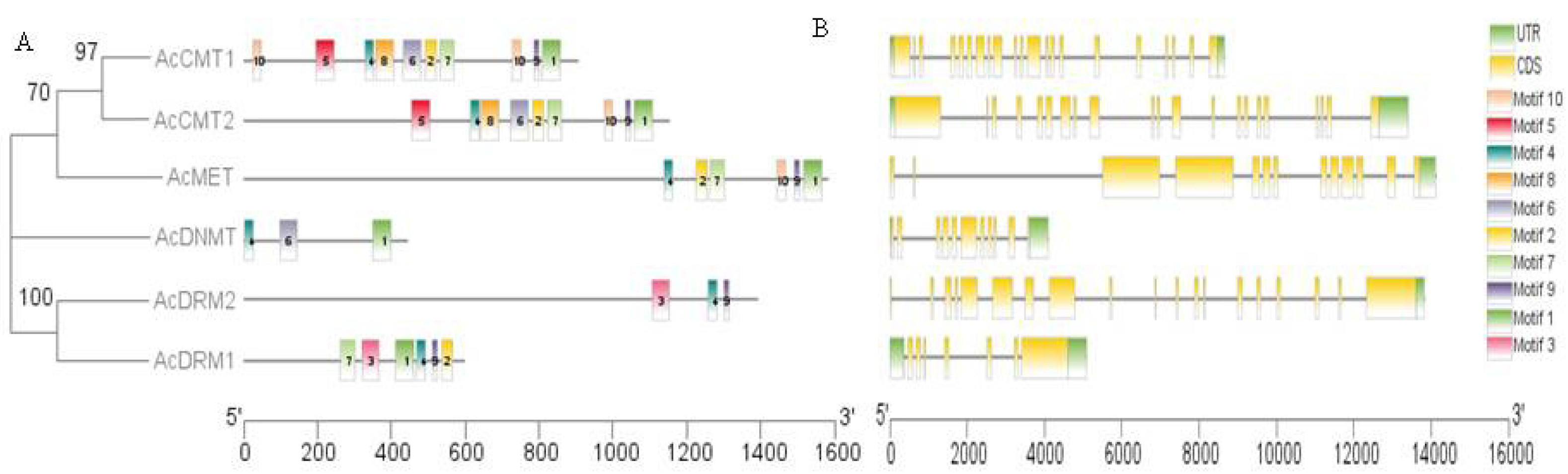 Agronomy 12 01039 g003