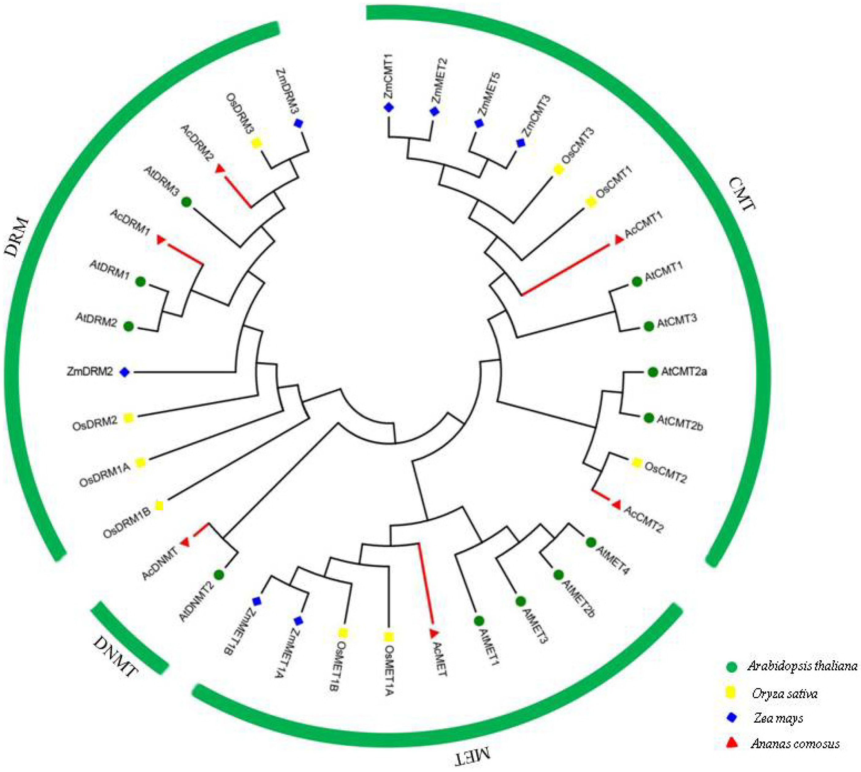 Agronomy 12 01039 g004