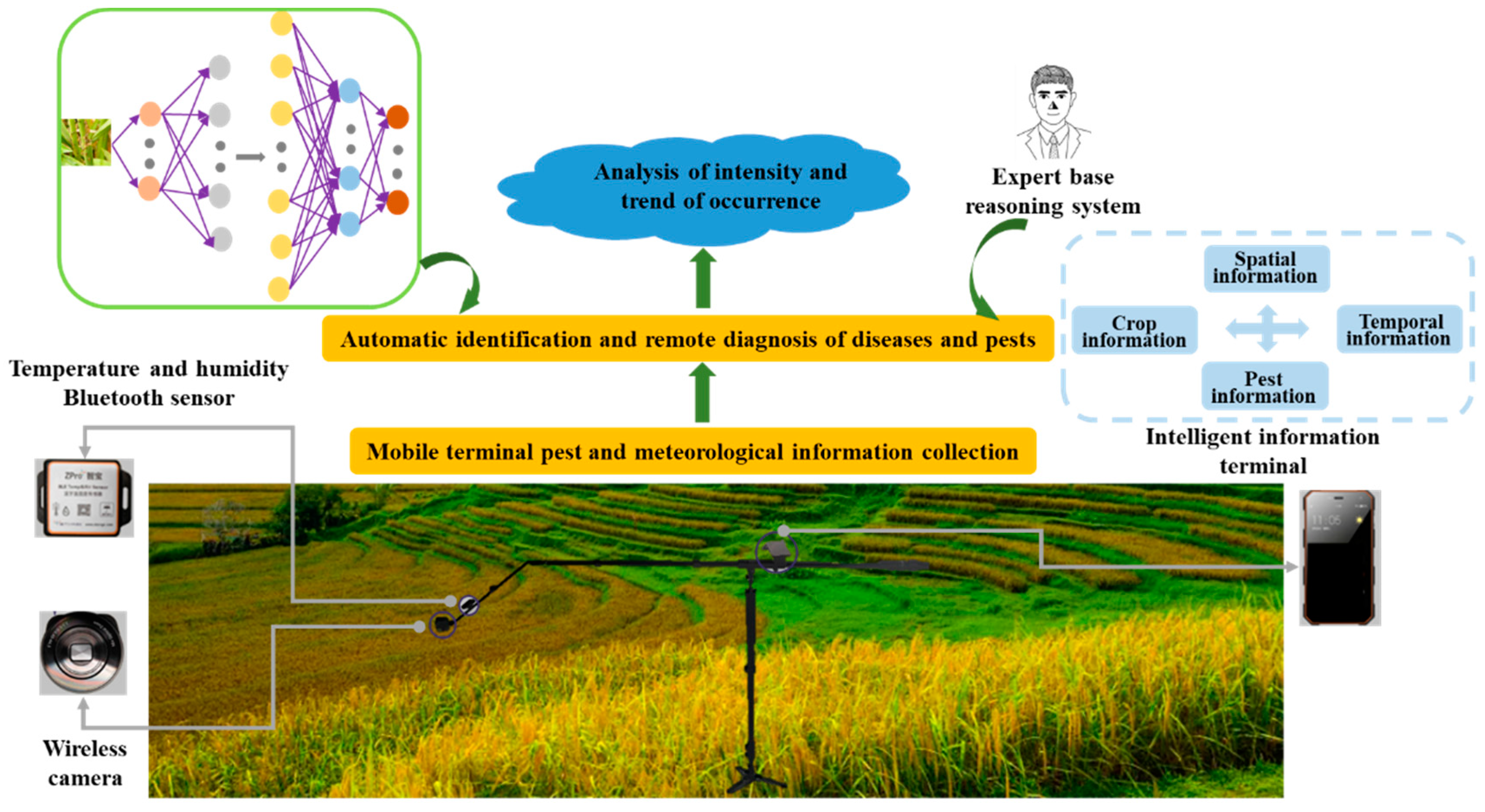 Agronomy 12 01046 g001