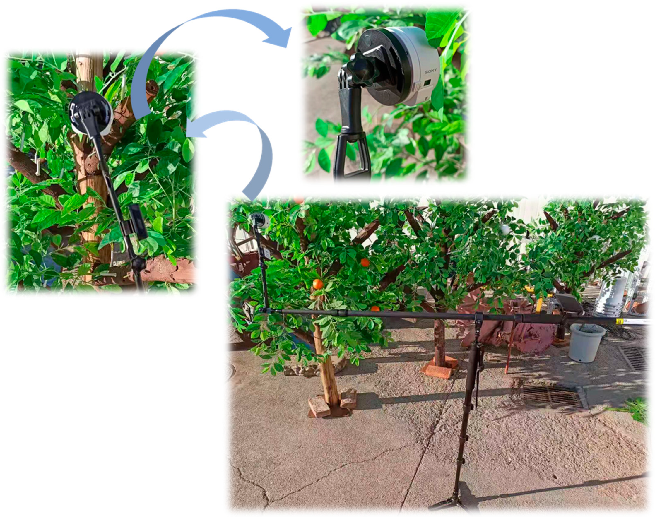 Agronomy 12 01046 g003