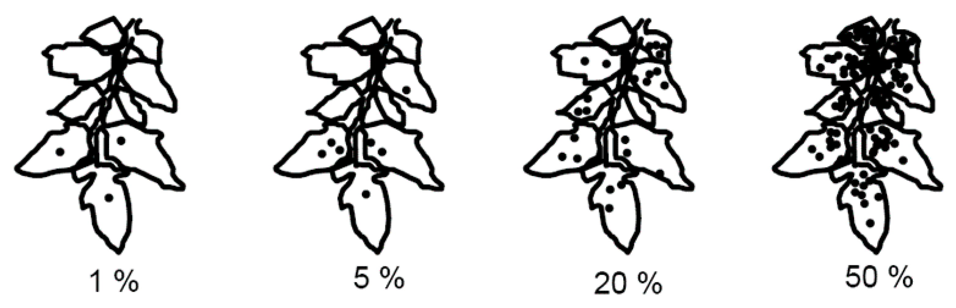 Agronomy 12 01050 g004
