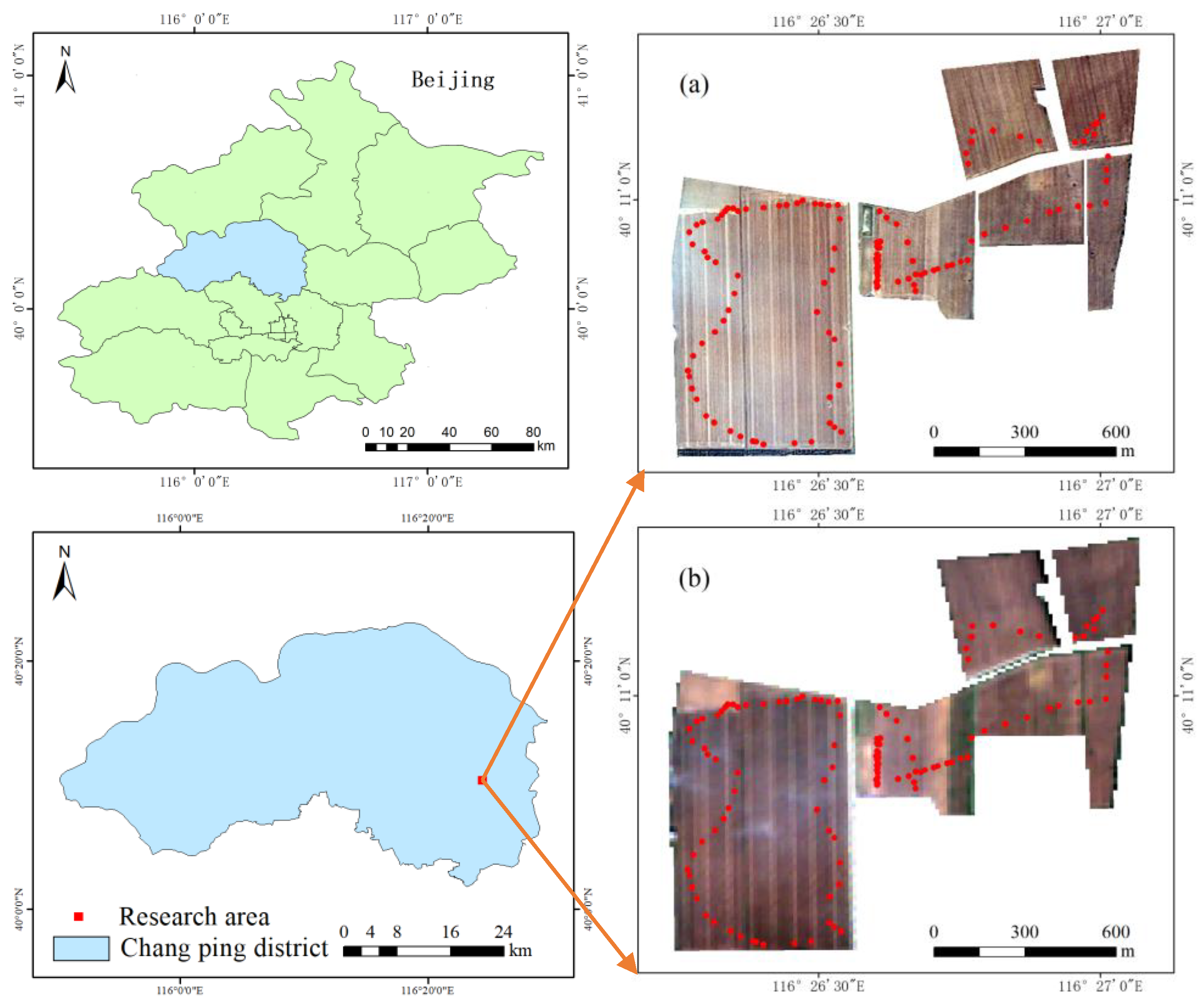 Agronomy 12 01051 g001 550