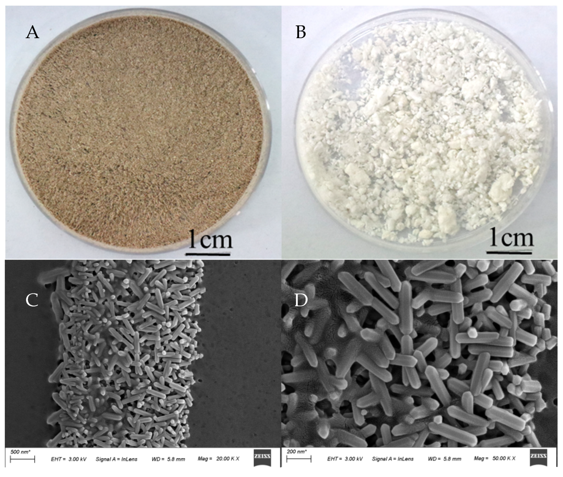 Agronomy 12 01057 g008 550