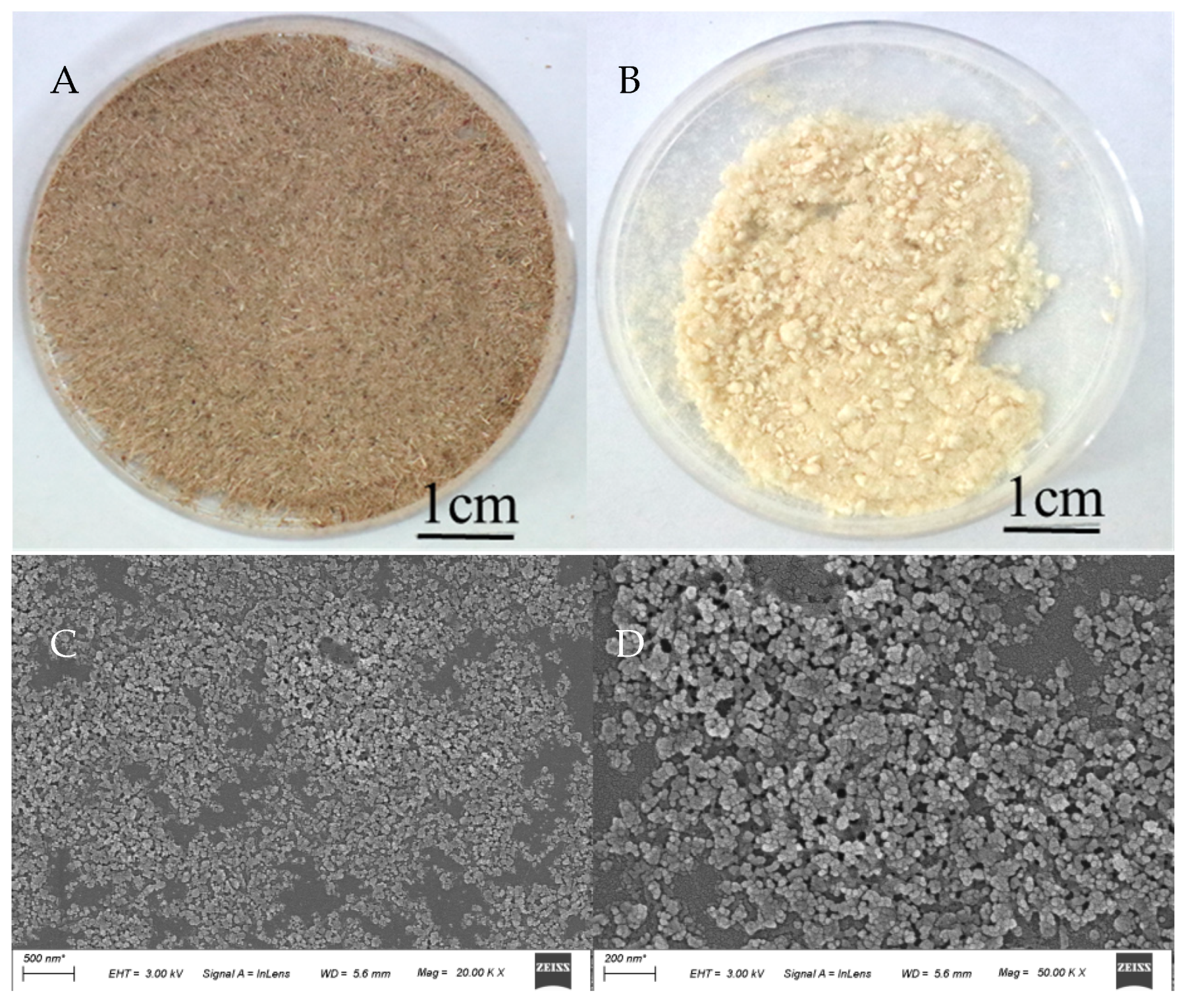 Agronomy 12 01057 g009 550