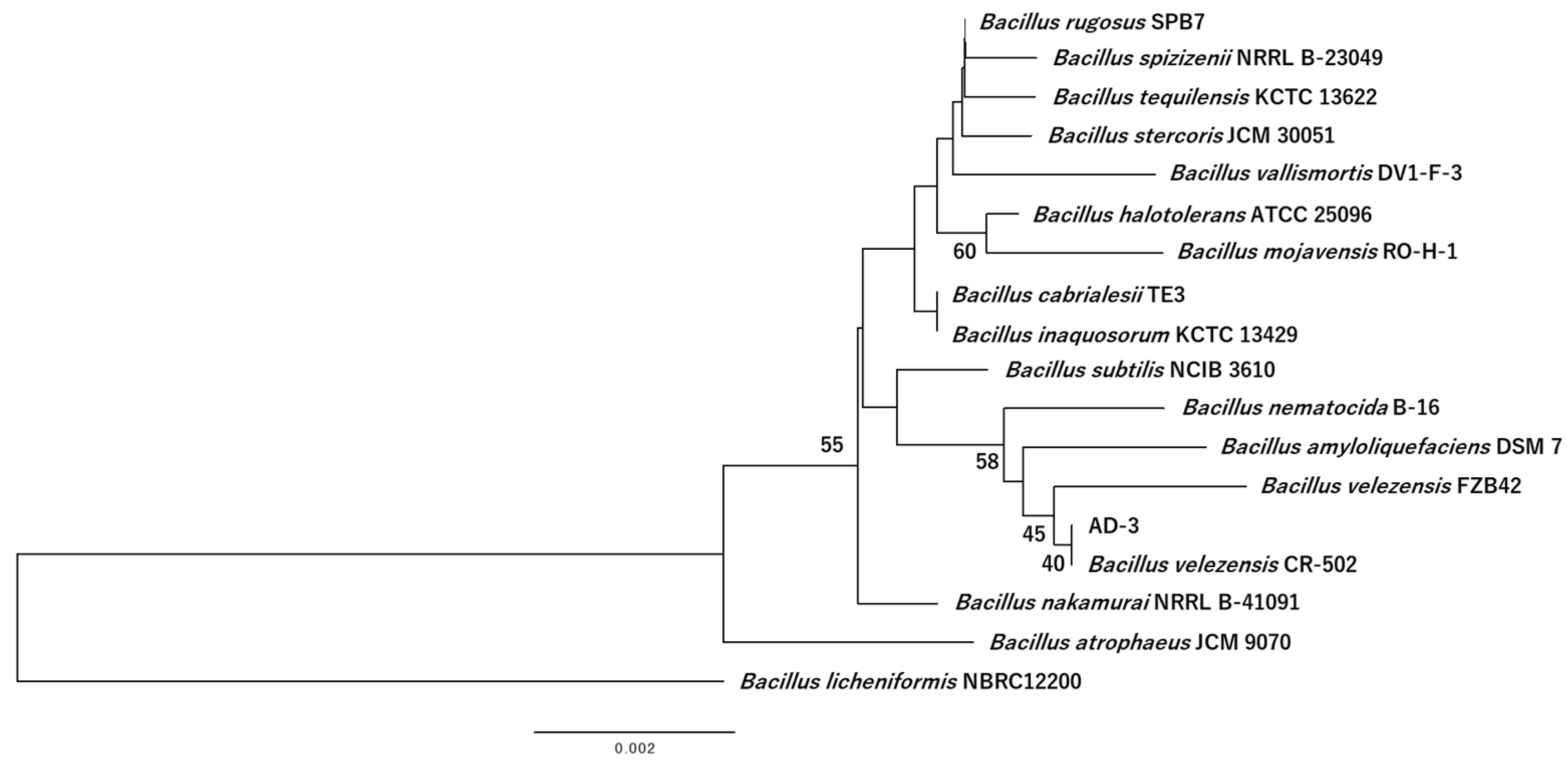Agronomy 12 01058 g003