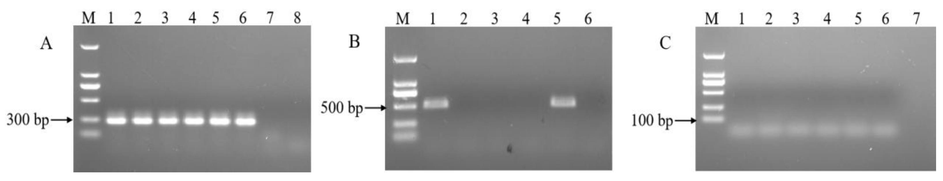 Agronomy 12 01064 g003 550