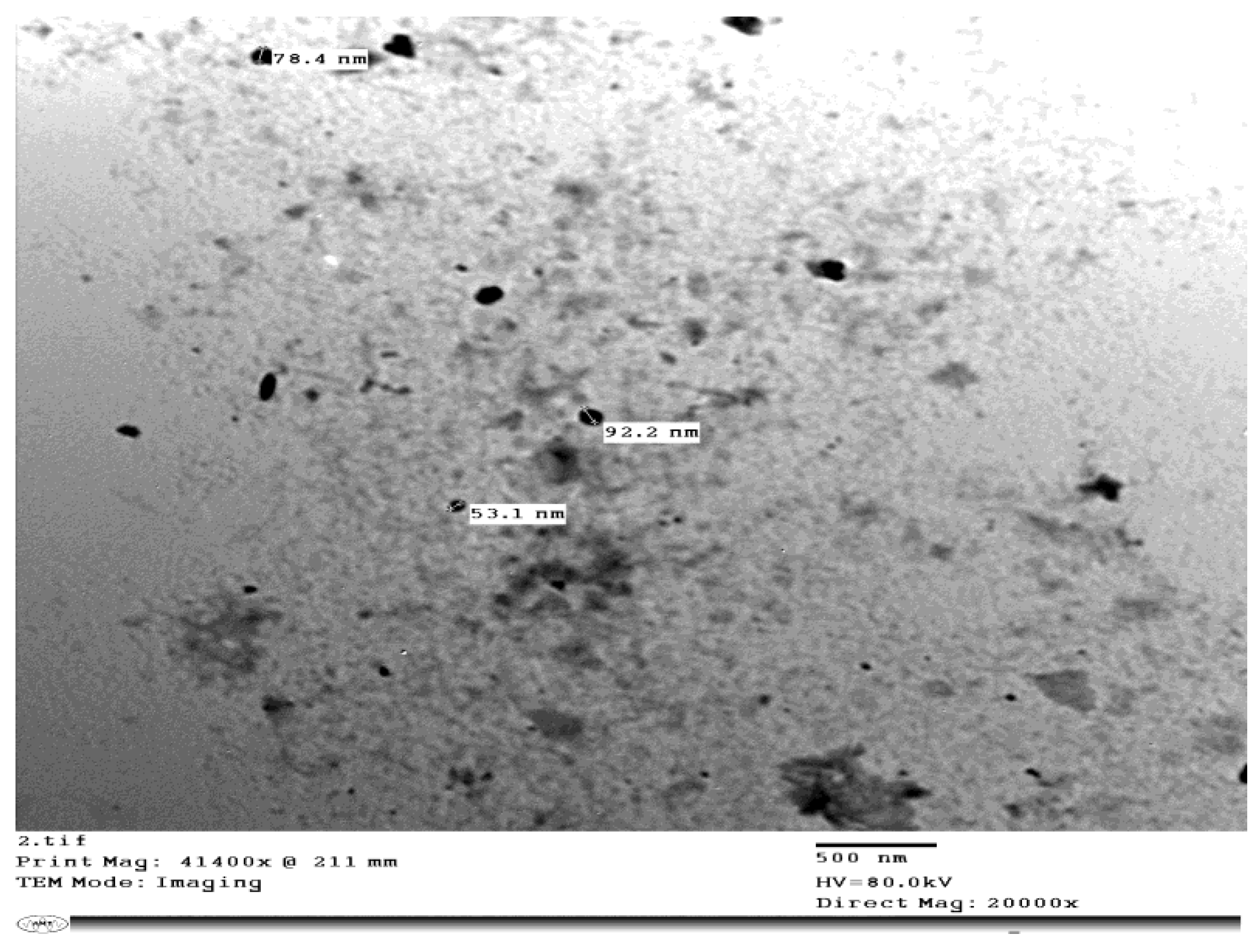 Agronomy 12 01069 g001