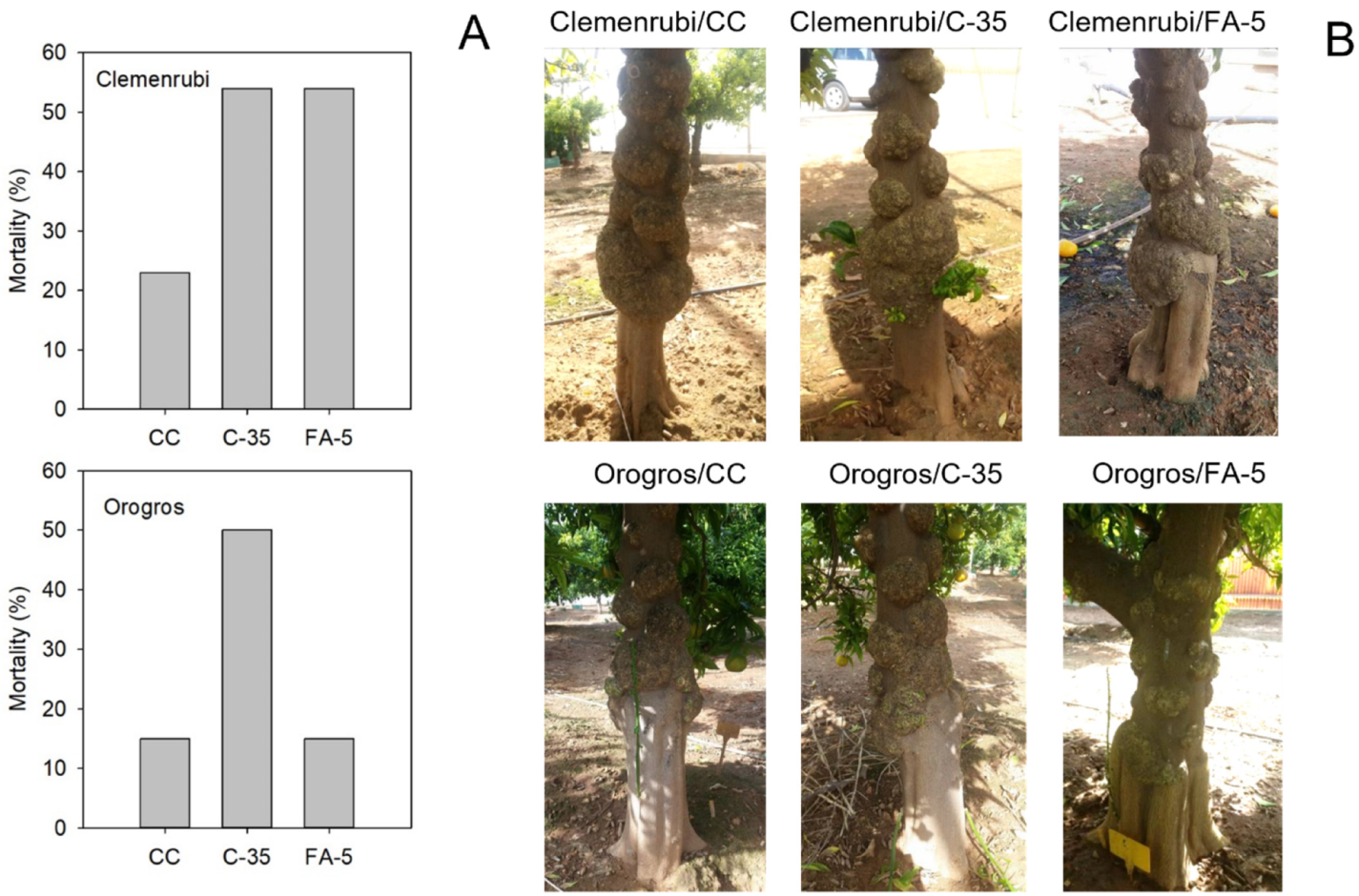 Agronomy 12 01072 g002 550