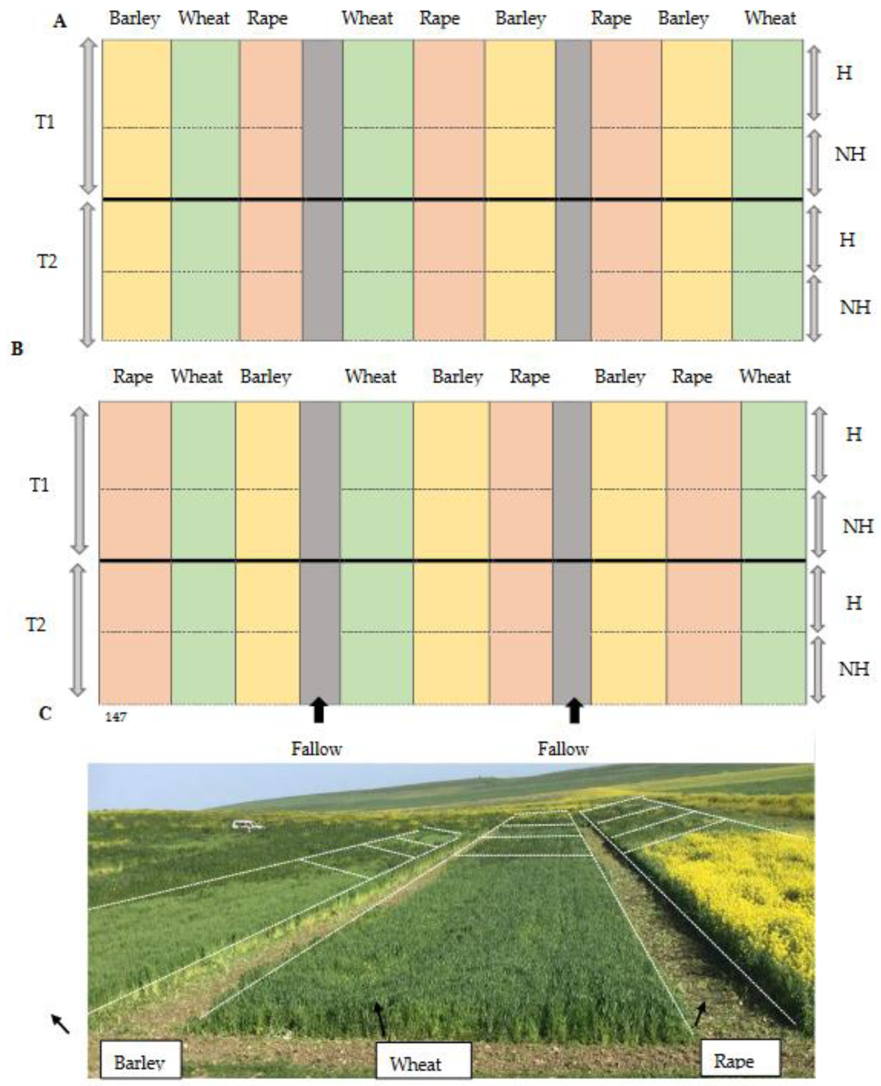 Agronomy 12 01083 g001 Agronomy 12 01083 g001