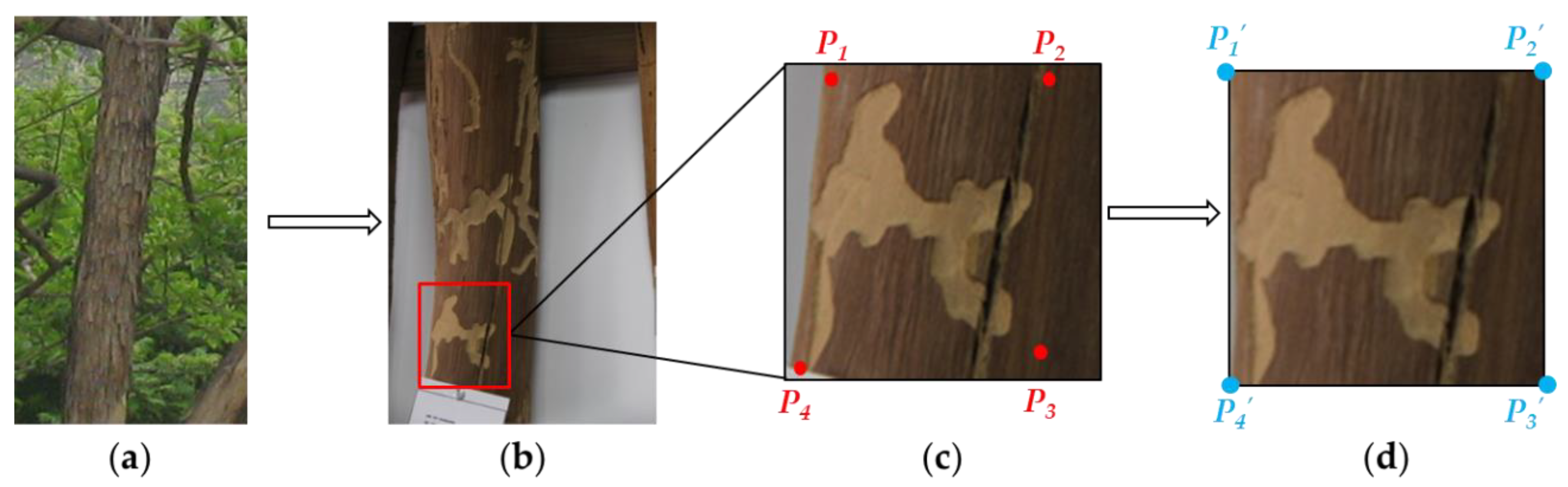 Agronomy 12 01087 g002 Agronomy 12 01087 g002