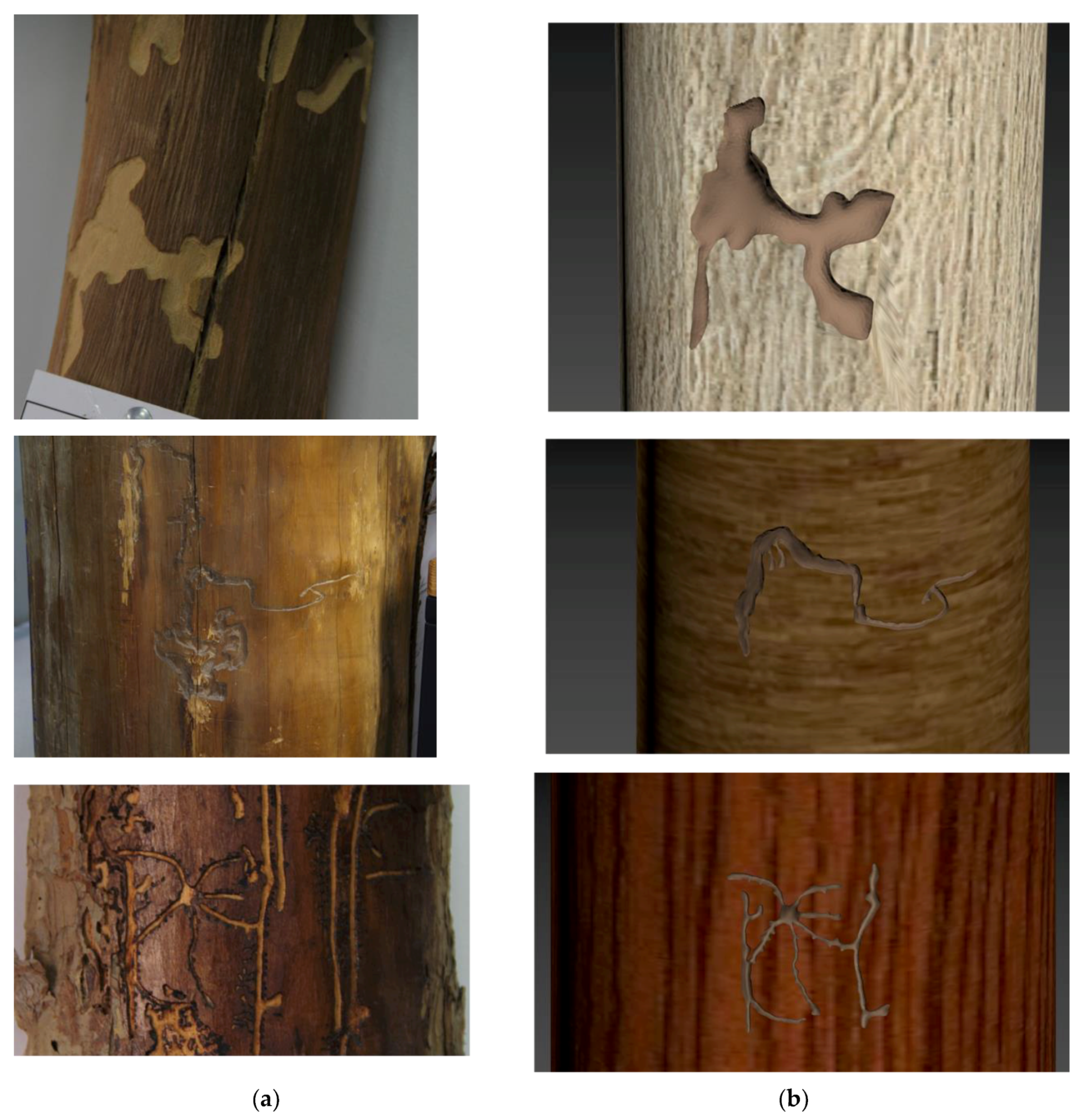 Agronomy 12 01087 g009 Agronomy 12 01087 g009