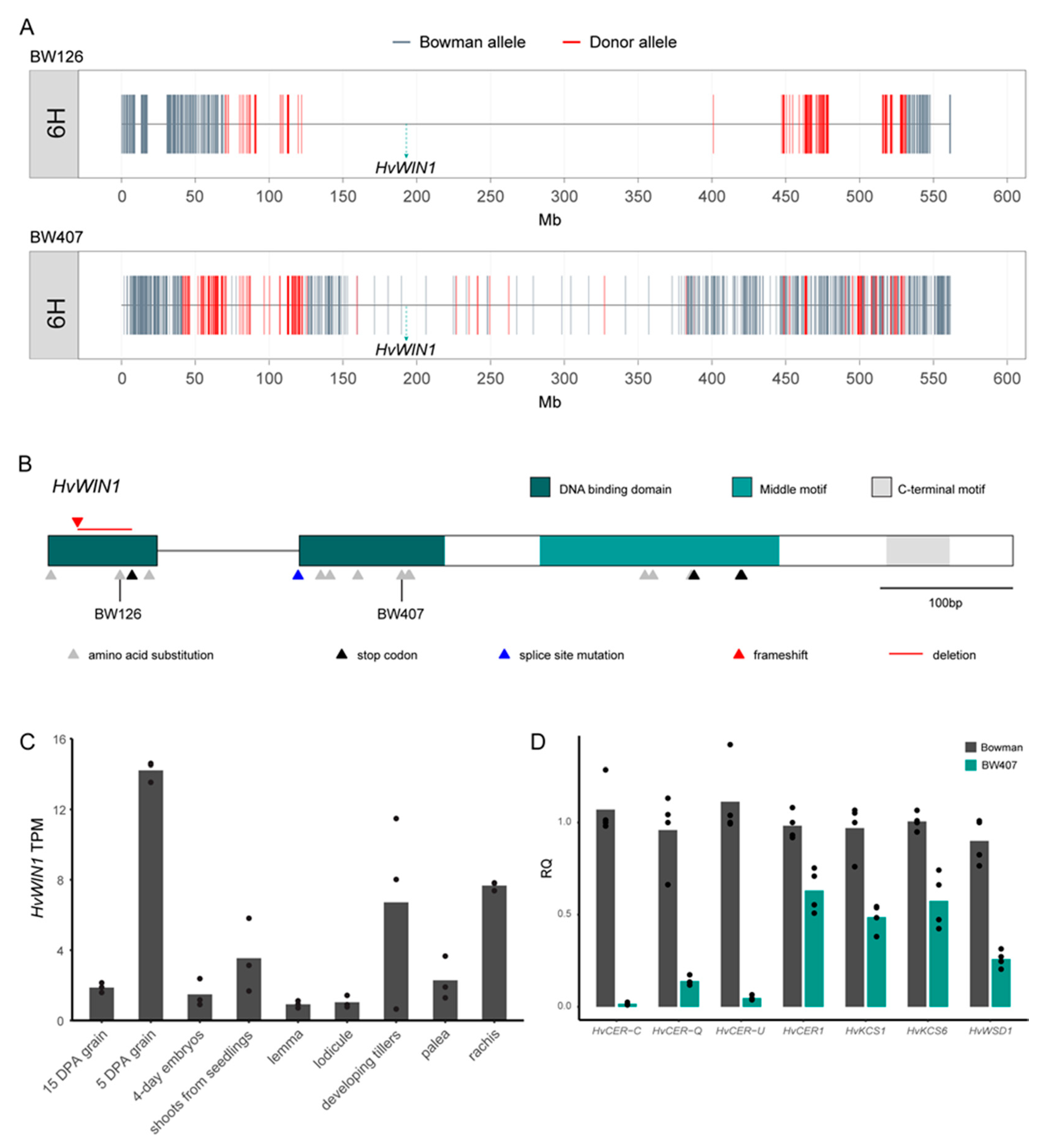 Agronomy 12 01088 g002