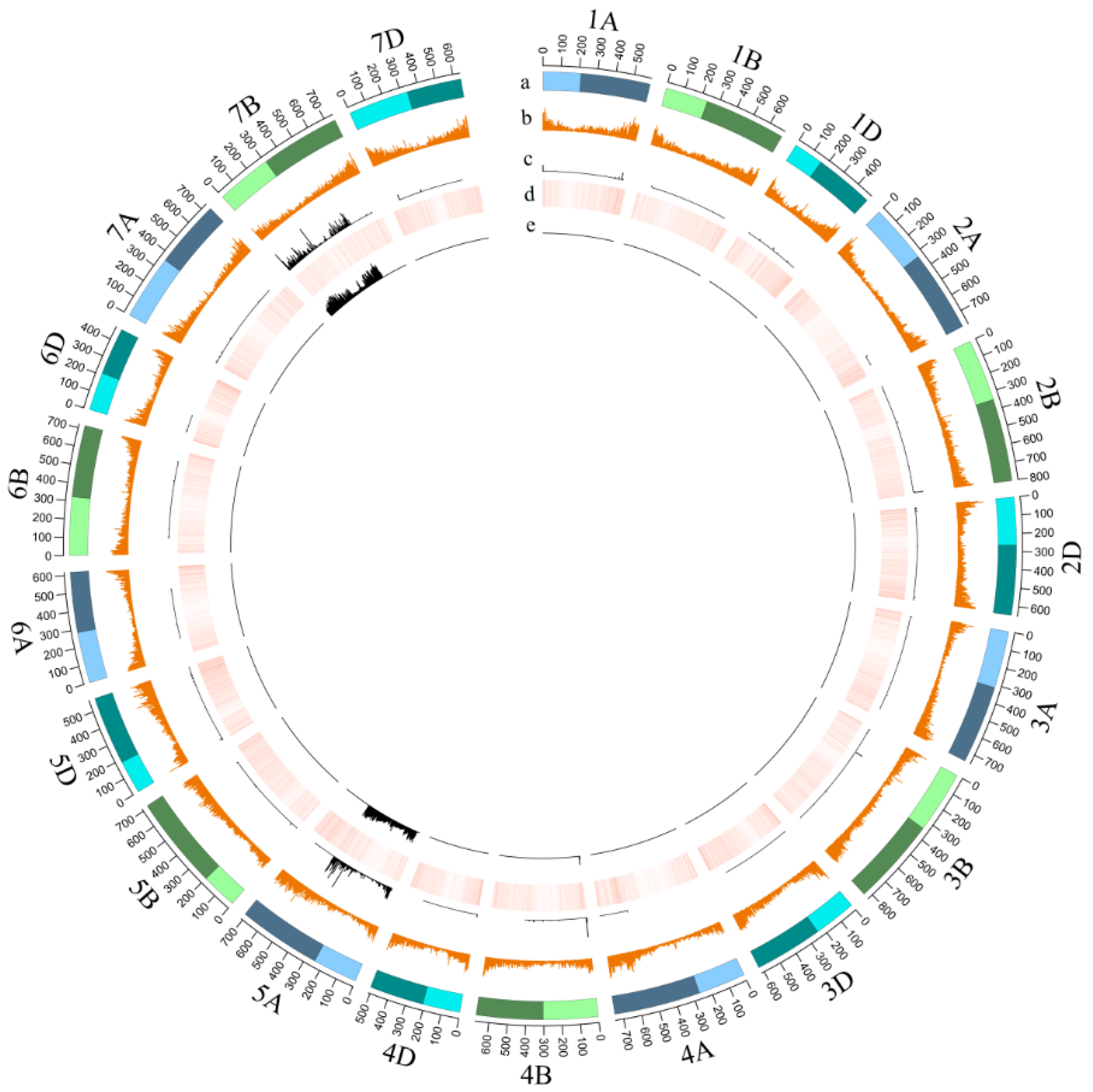 Agronomy 12 01089 g001