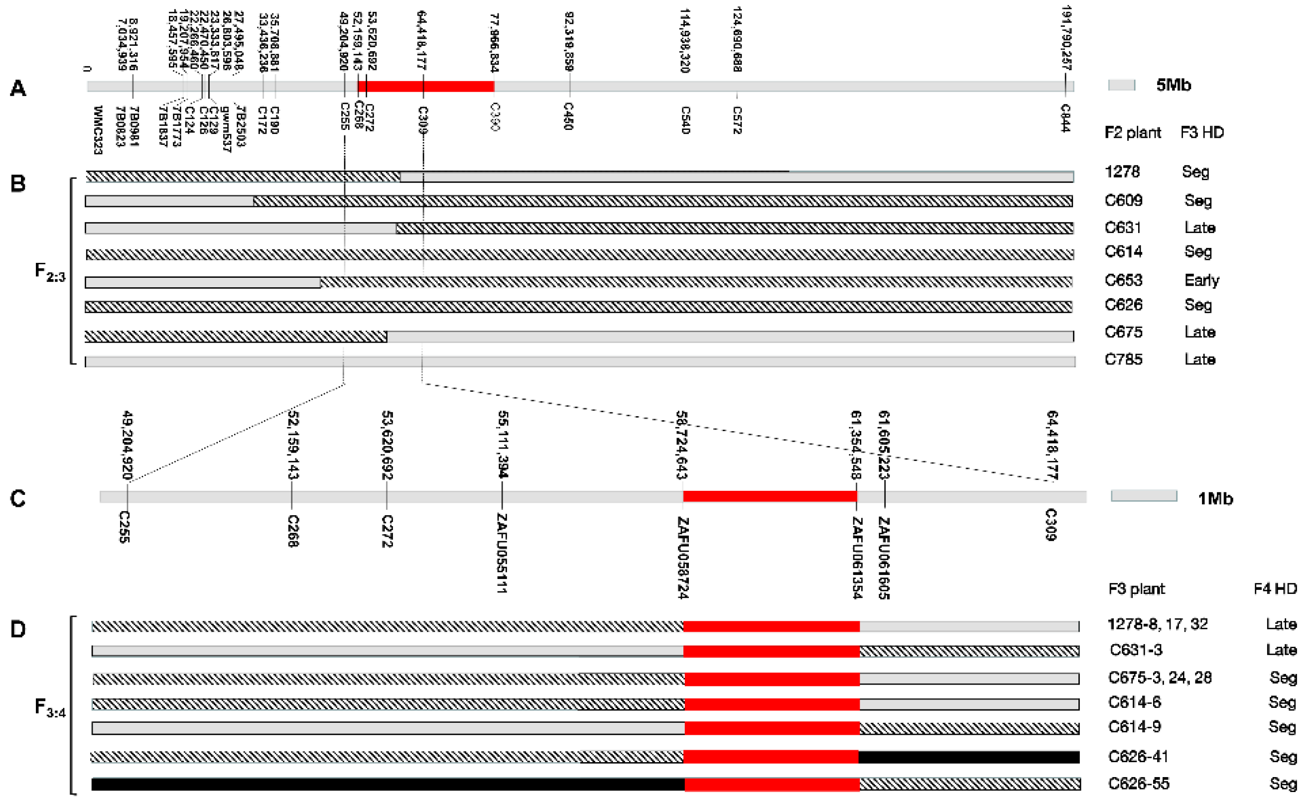 Agronomy 12 01089 g009
