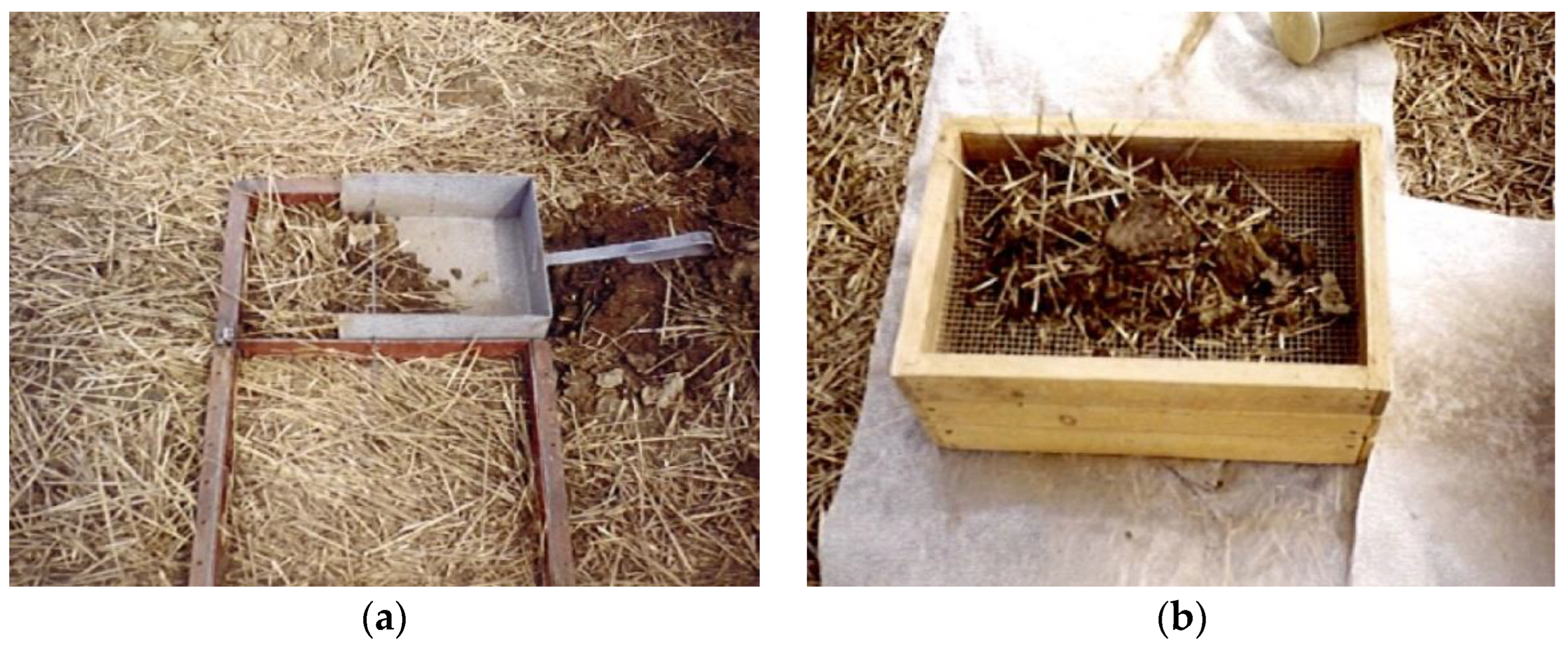 Agronomy 12 01092 g002 Agronomy 12 01092 g002