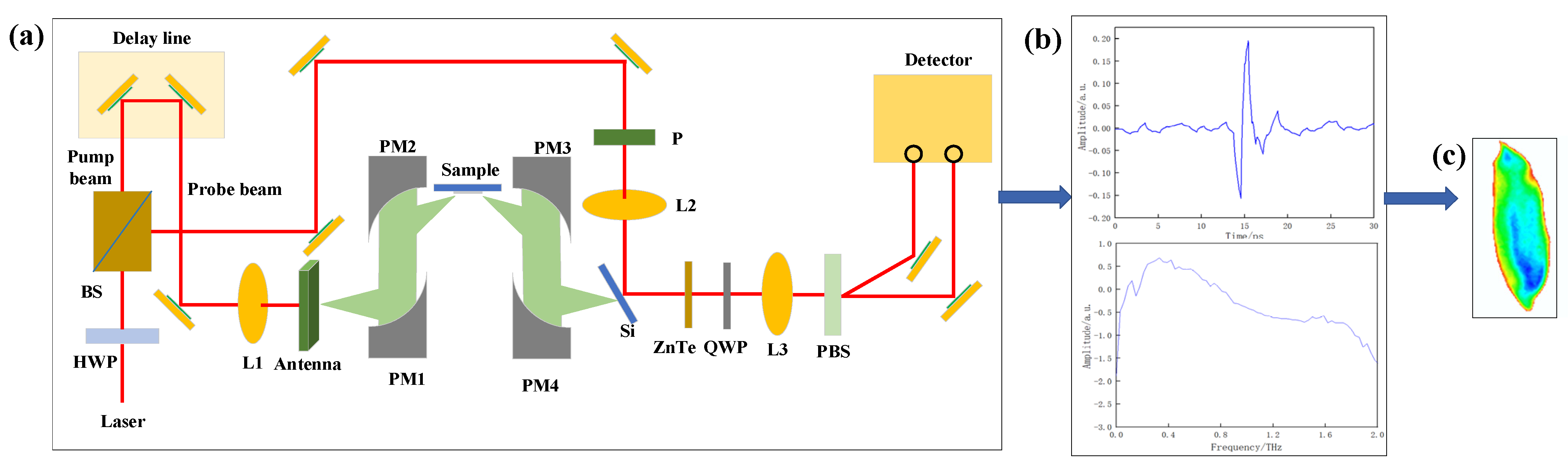 Agronomy 12 01093 g001