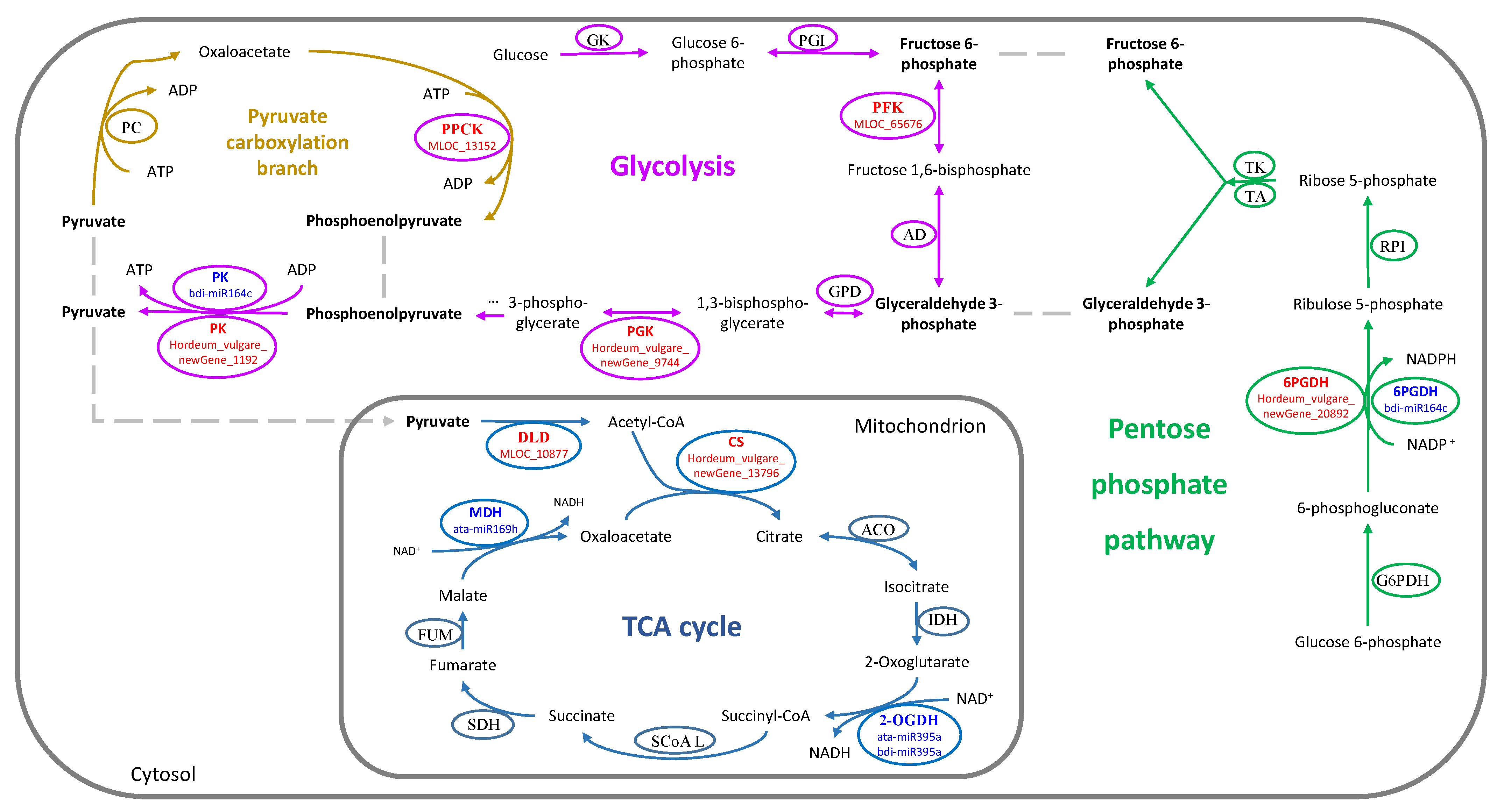 Agronomy 12 01094 g006