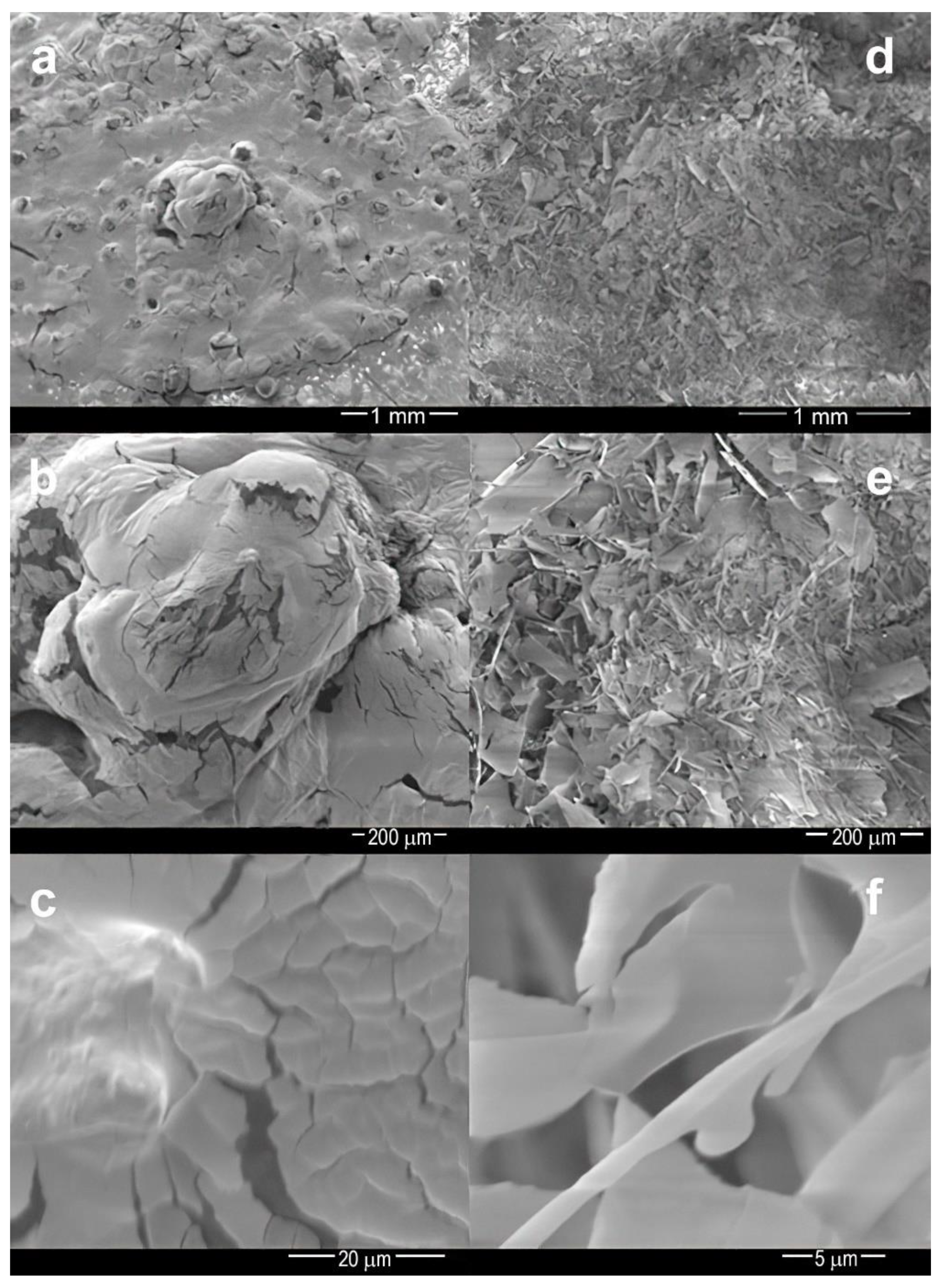 Agronomy 12 01109 g002