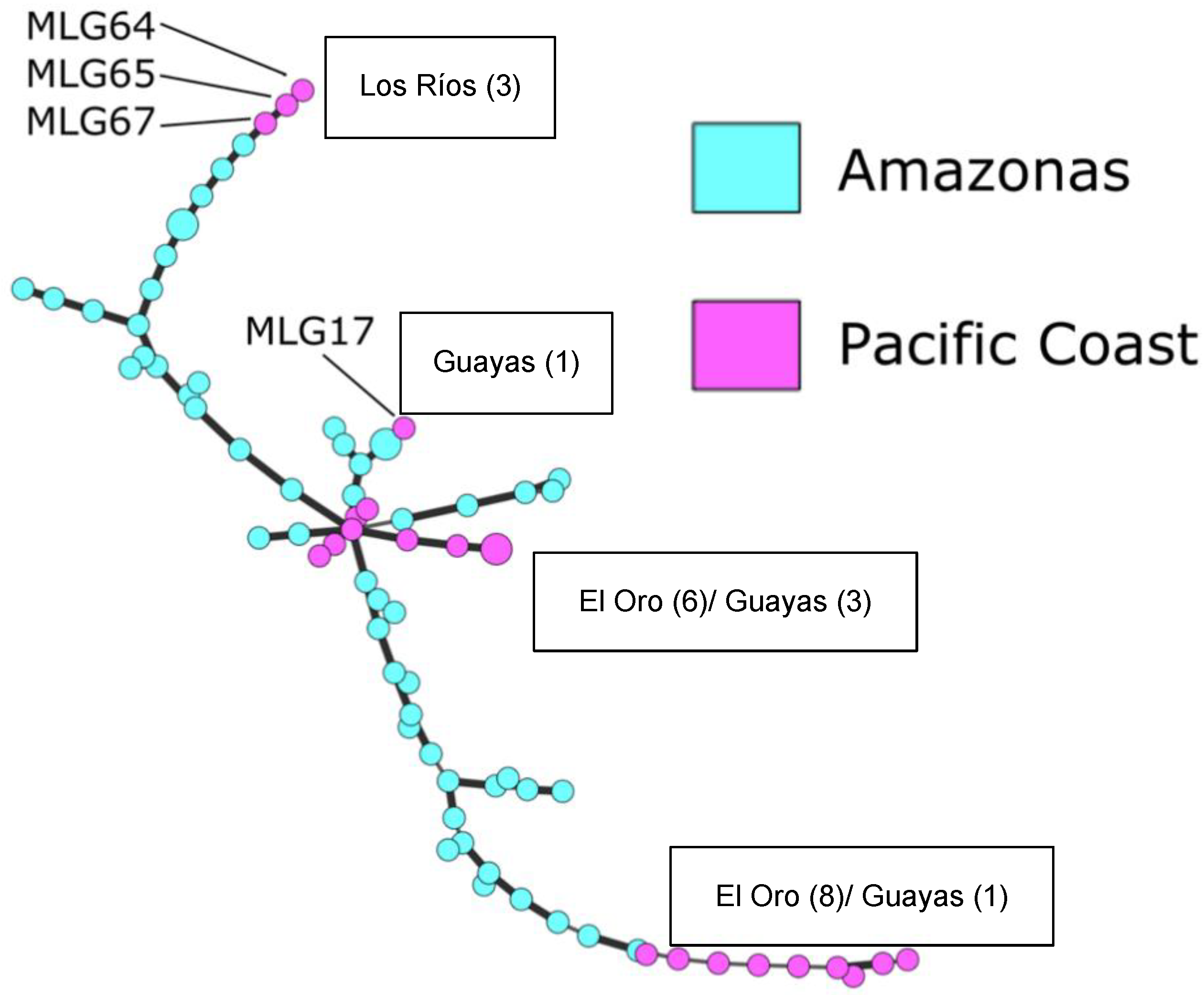 Agronomy 12 01119 g006