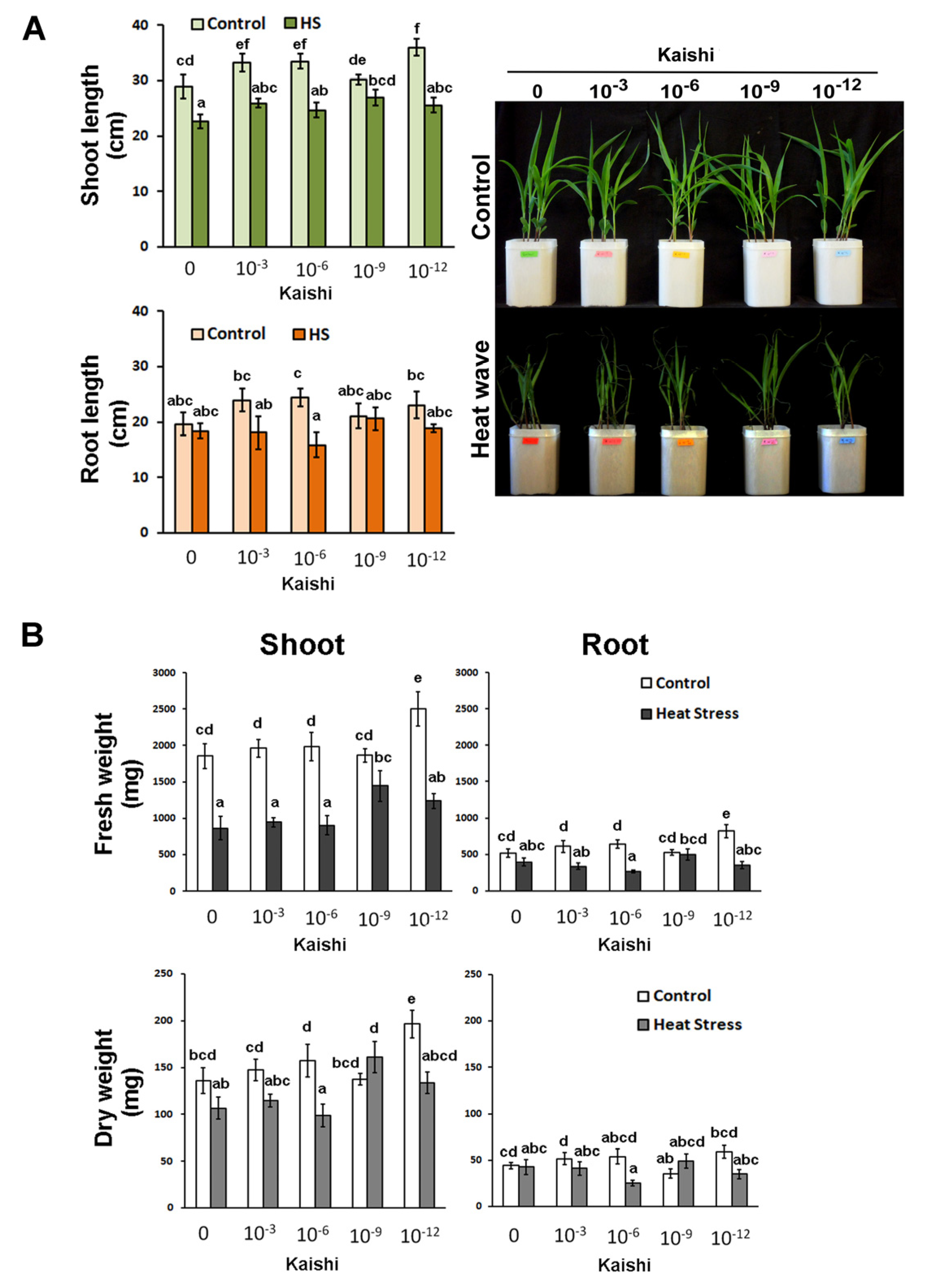 Agronomy 12 01127 g001