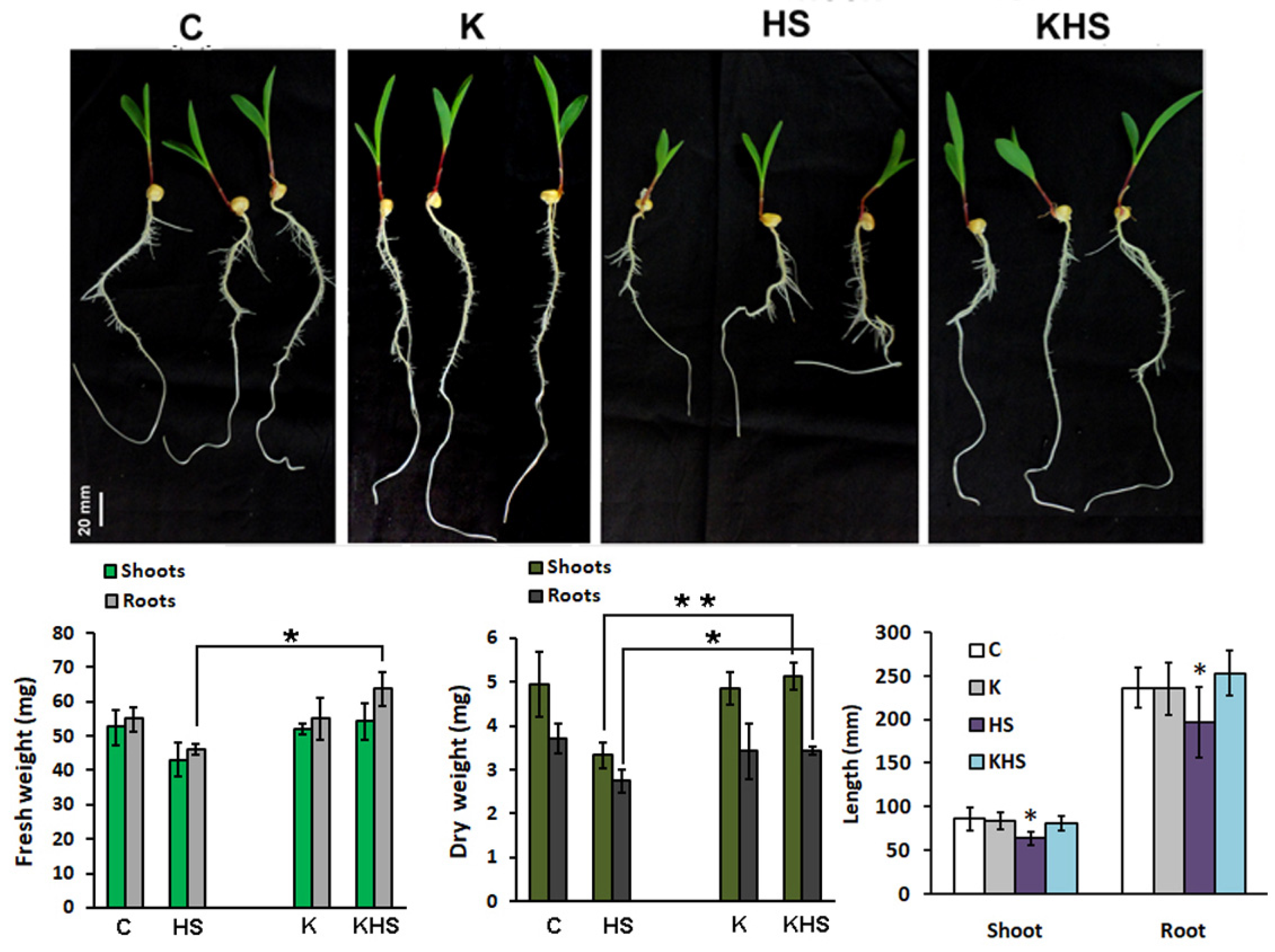 Agronomy 12 01127 g005
