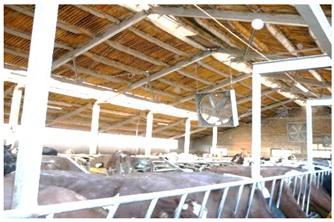 Agronomy 12 01131 i004