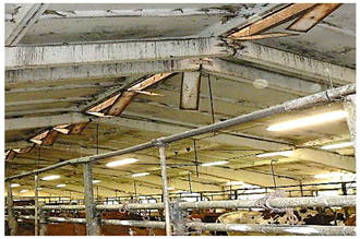 Agronomy 12 01131 i007