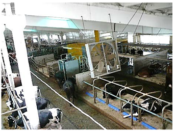 Agronomy 12 01131 i008