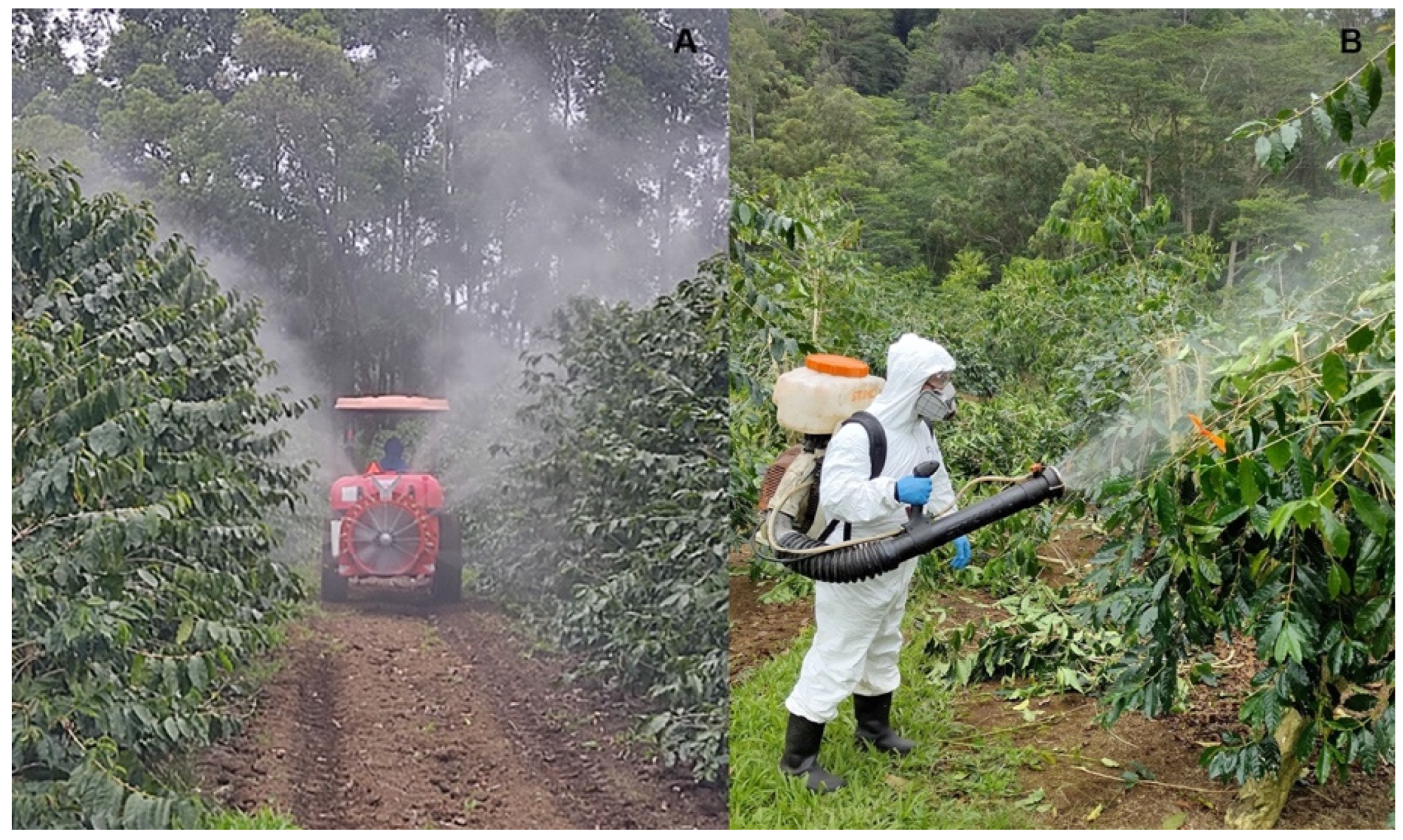 Agronomy 12 01134 g006 550