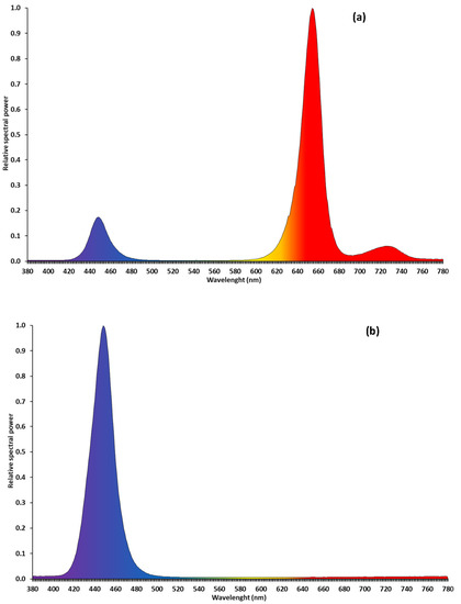 Agronomy Free Full Text Effects Of Greenhouse Vs Growth Chamber And Different Blue Light Percentages On The Growth Performance And Quality Of Broccoli Microgreens Html Agronomy Free Full Text Effects Of Greenhouse Vs Growth Chamber And Different Blue Light Percentages On The Growth Performance And Quality Of Broccoli Microgreens Html