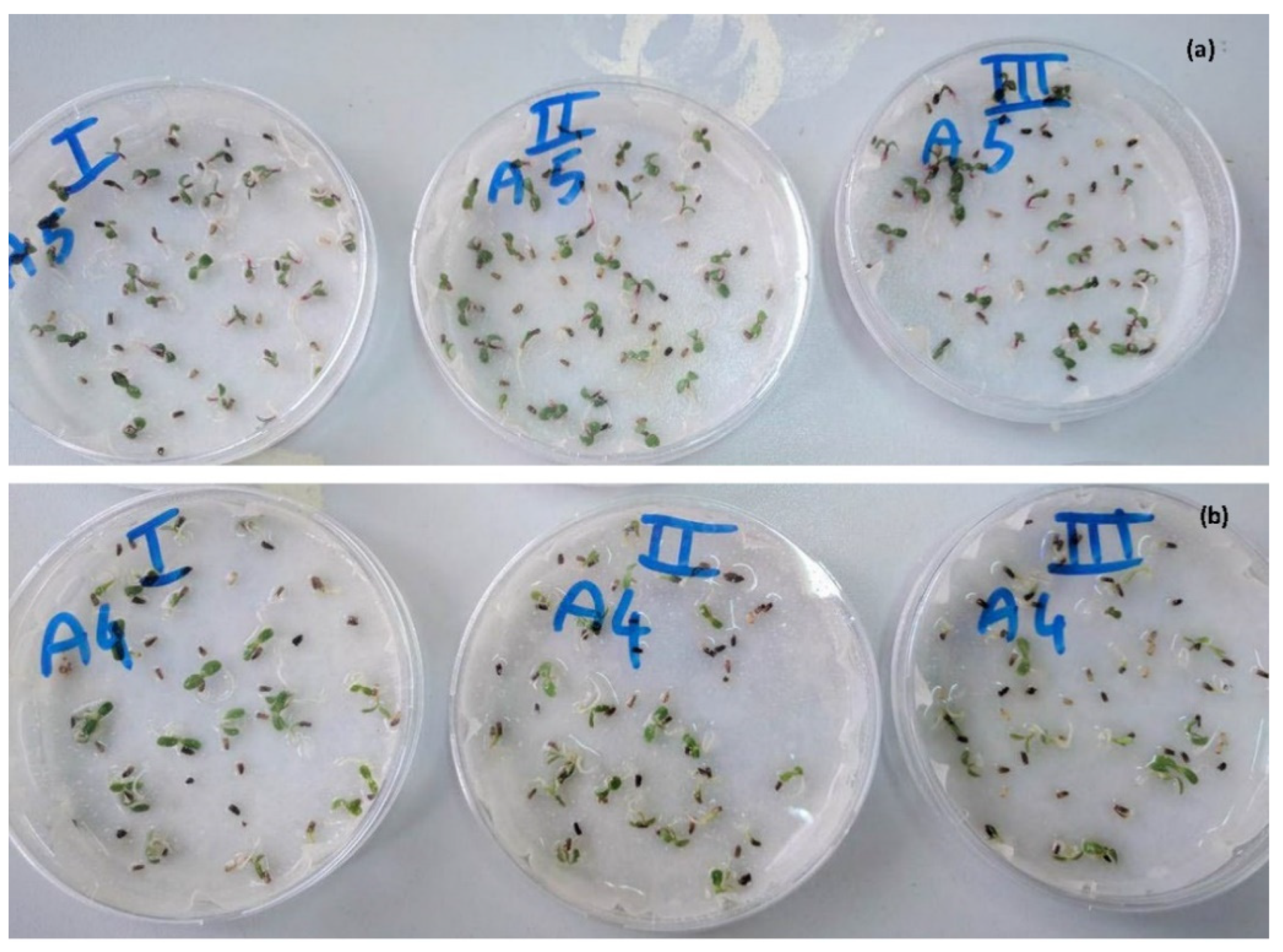 Agronomy 12 01161 g003