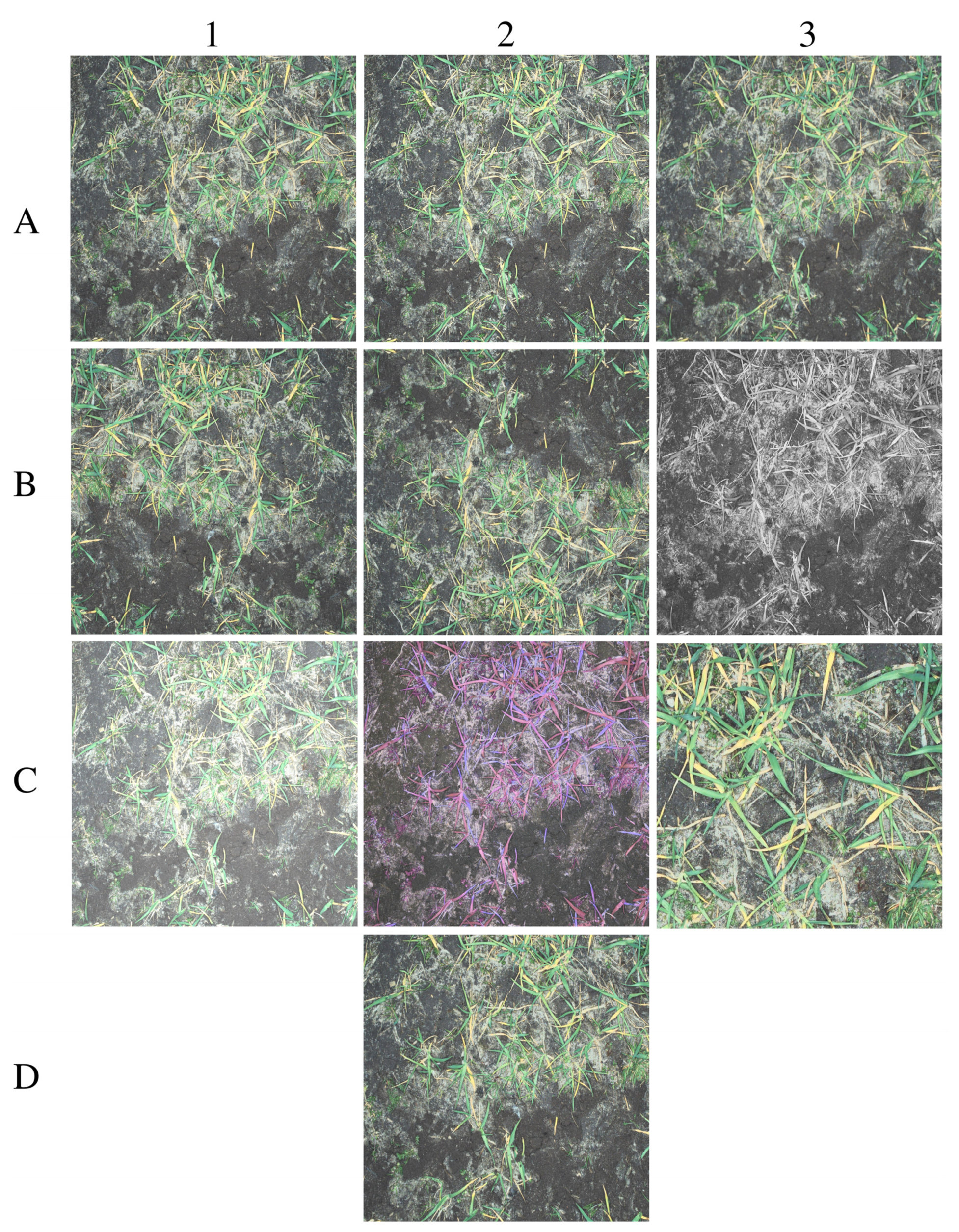 Agronomy 12 01167 g007 550
