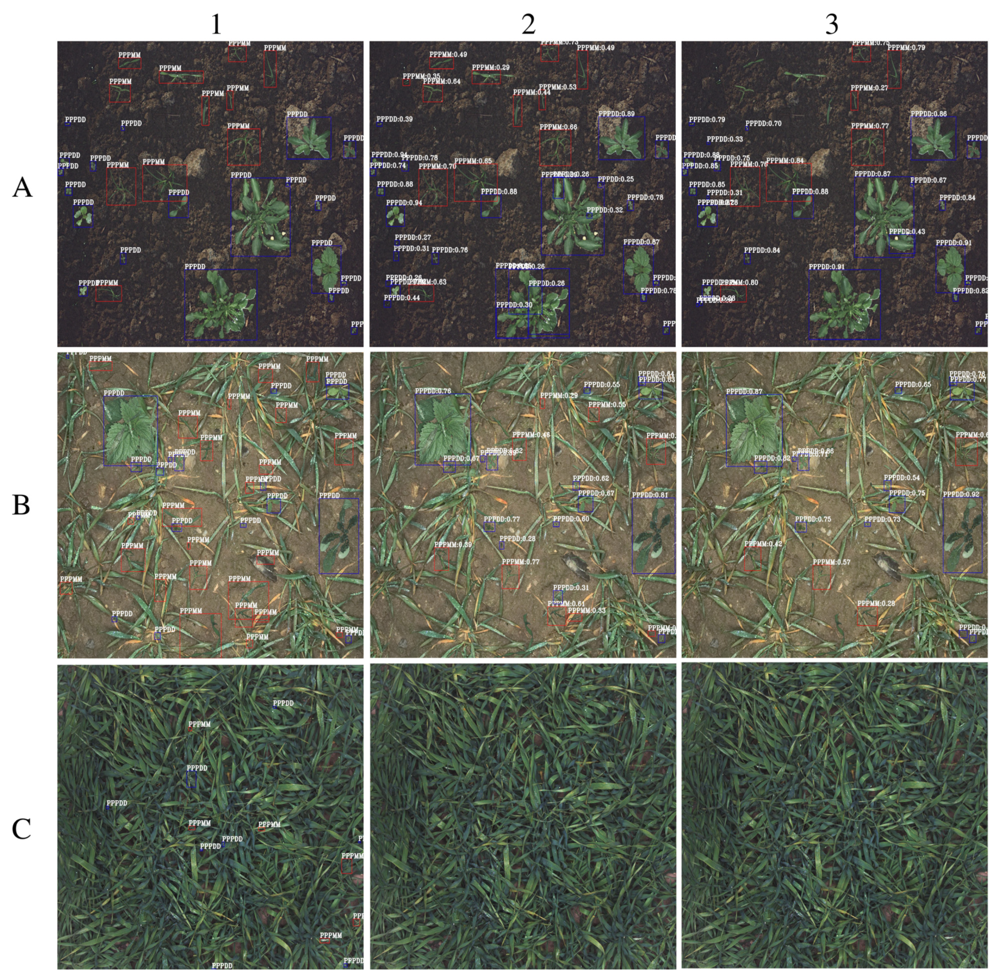 Agronomy 12 01167 g012 550
