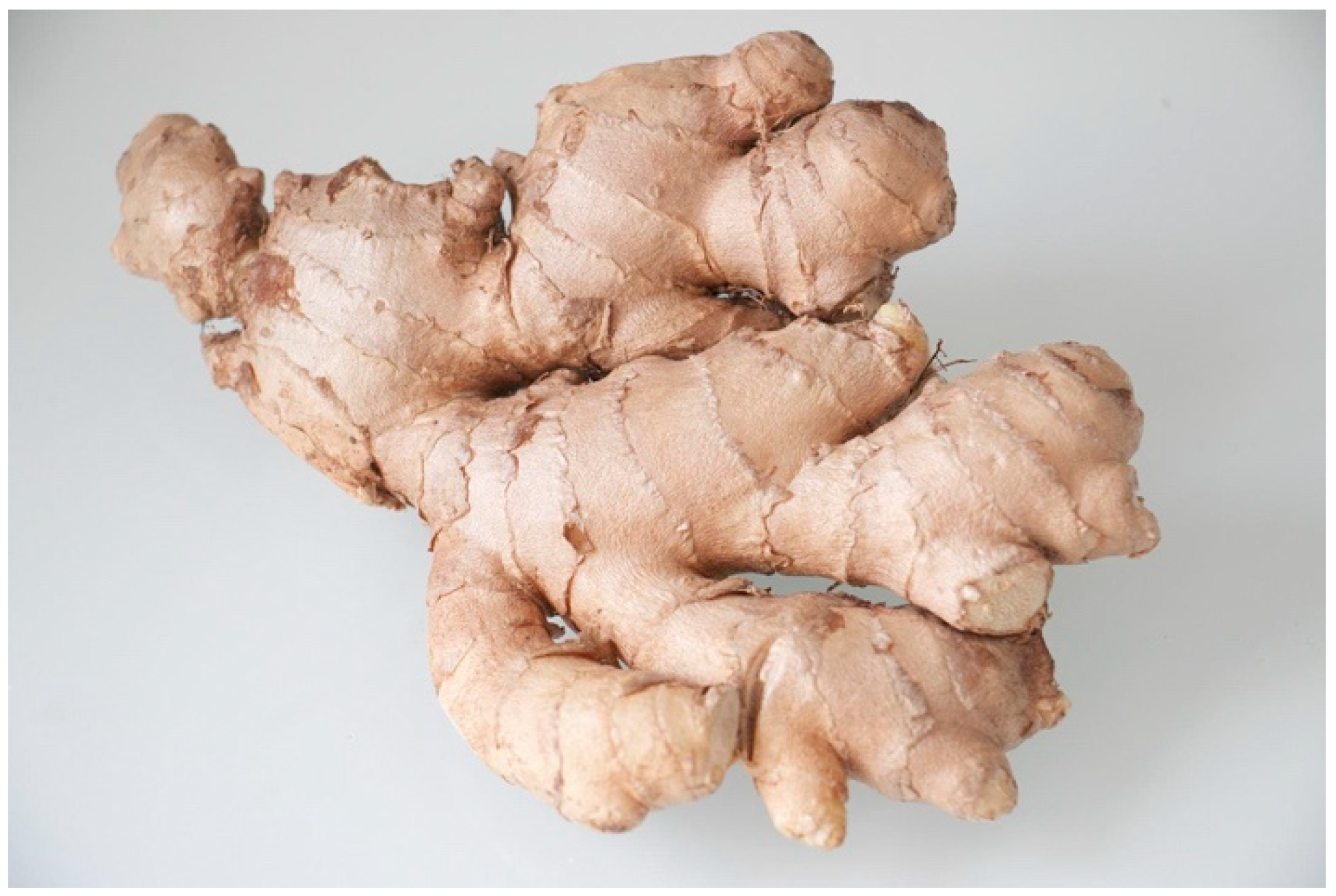 Natural food preservation with ginger essential oil: Biological