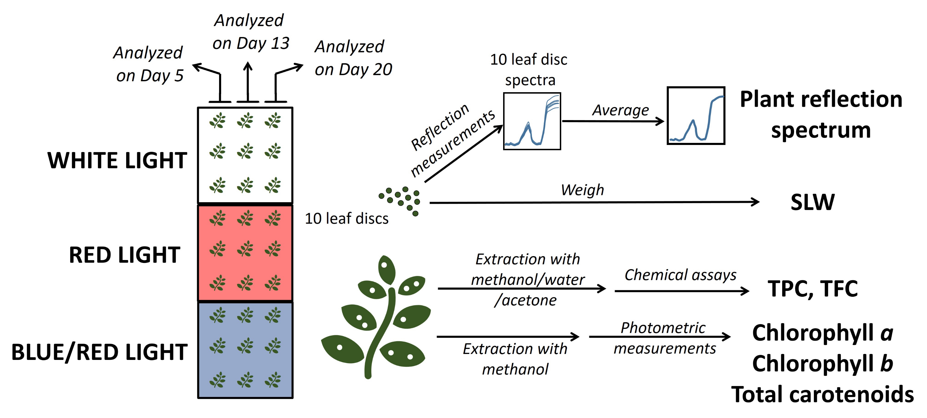 Agronomy 12 01174 g003 550