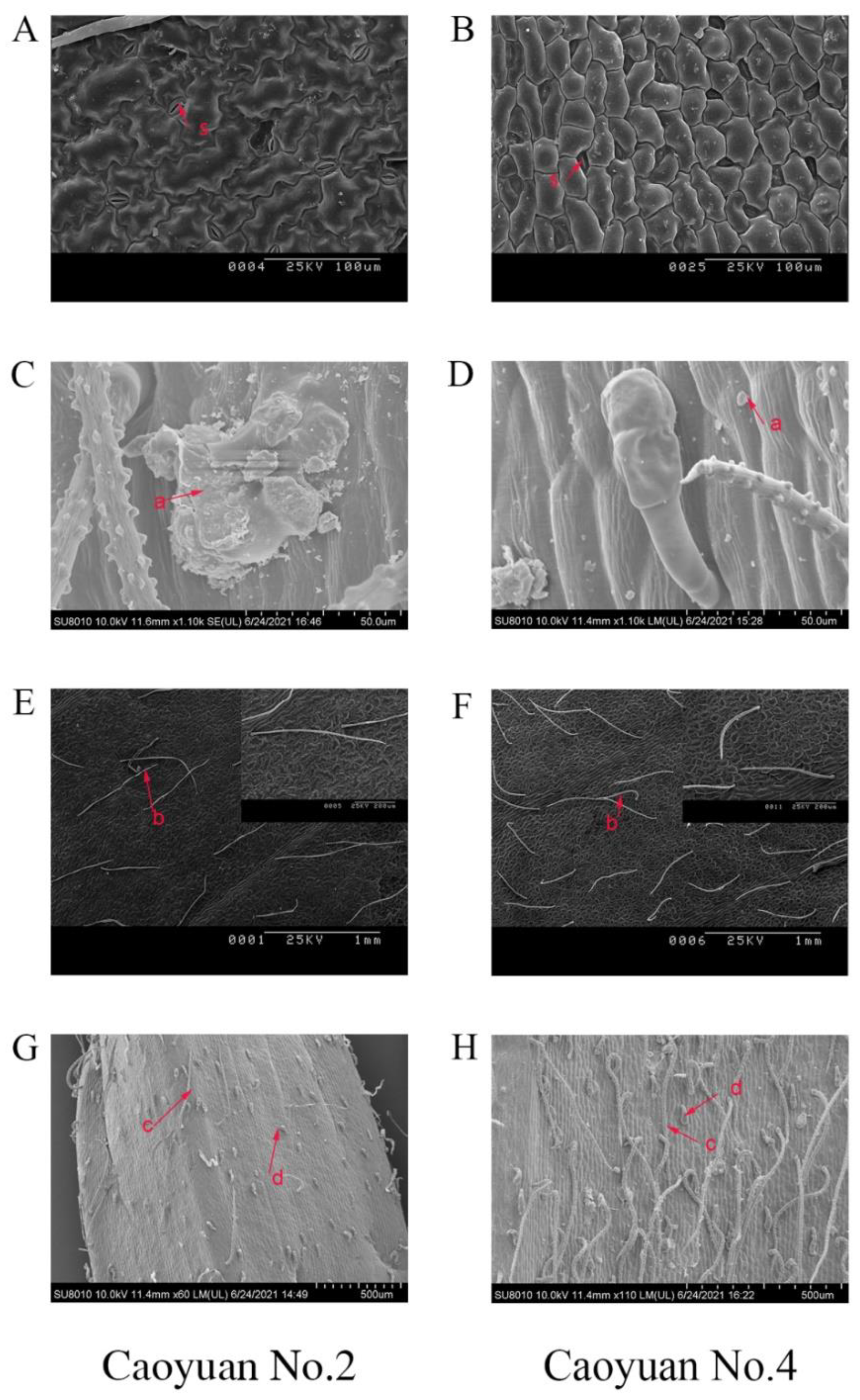 Agronomy 12 01175 g003 Agronomy 12 01175 g003
