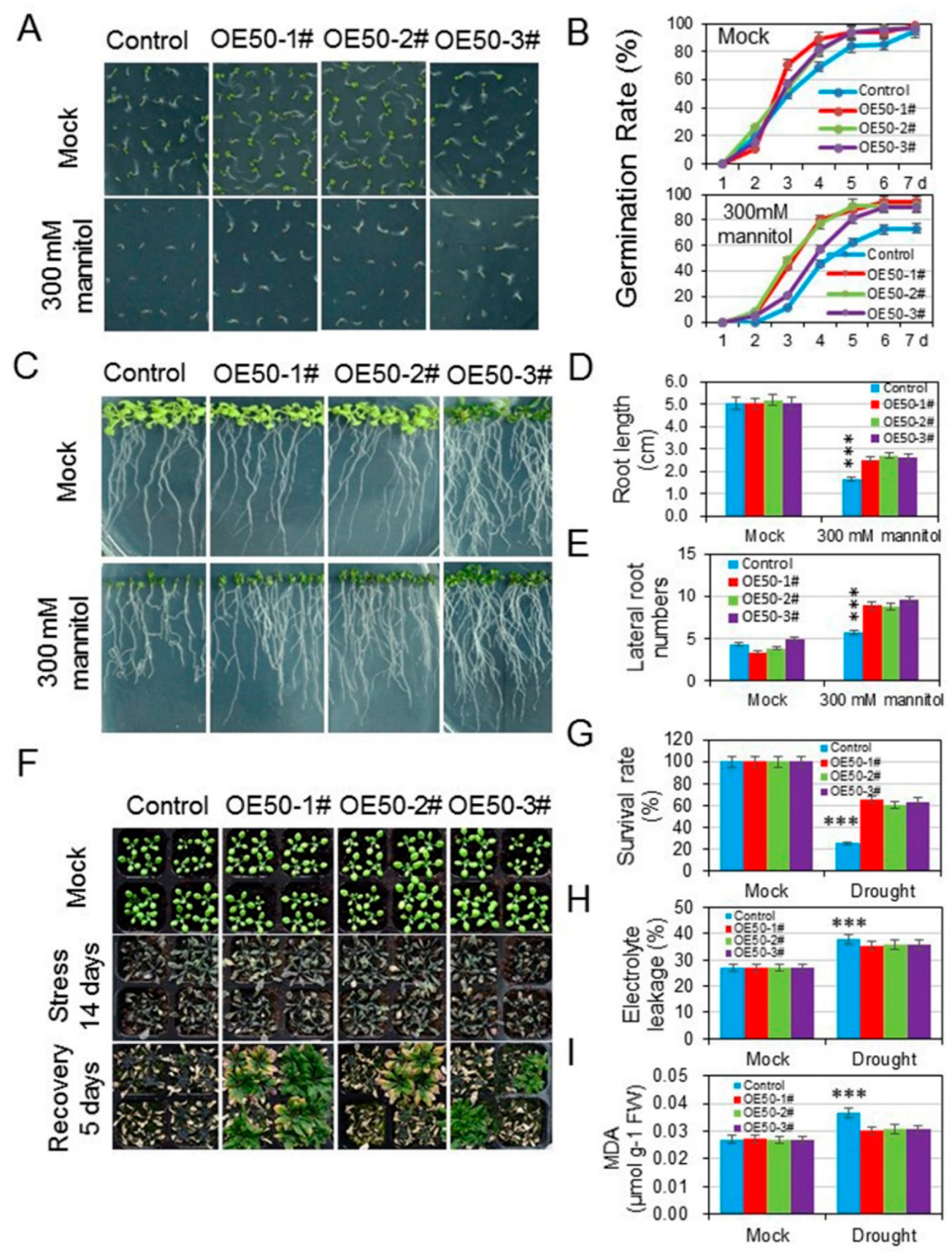 Agronomy 12 01176 g005