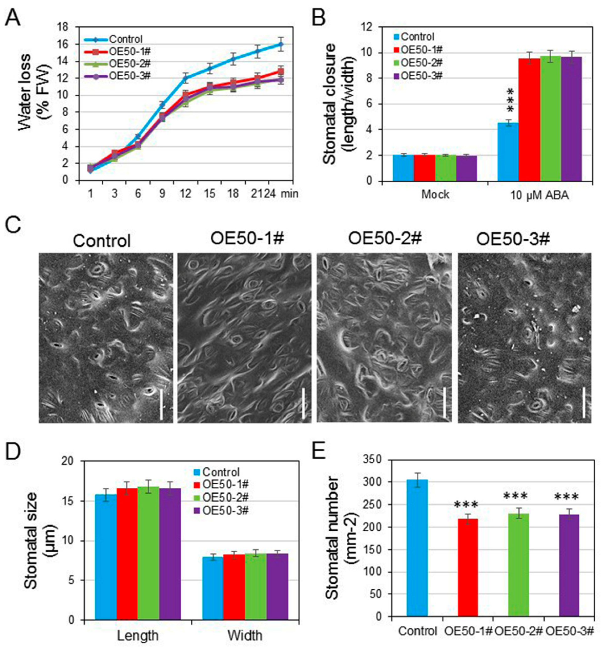 Agronomy 12 01176 g006