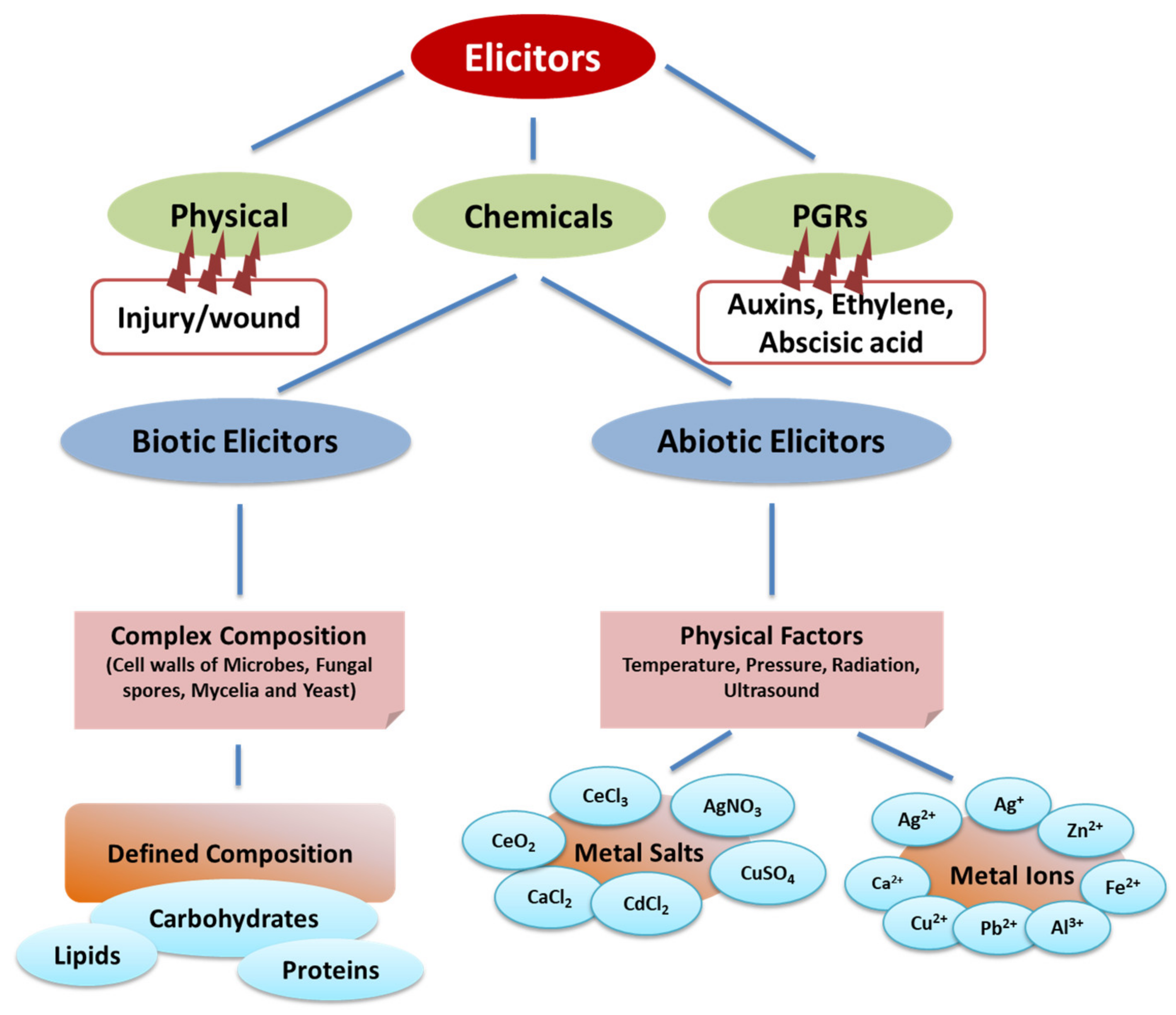 Agronomy 12 01178 g002